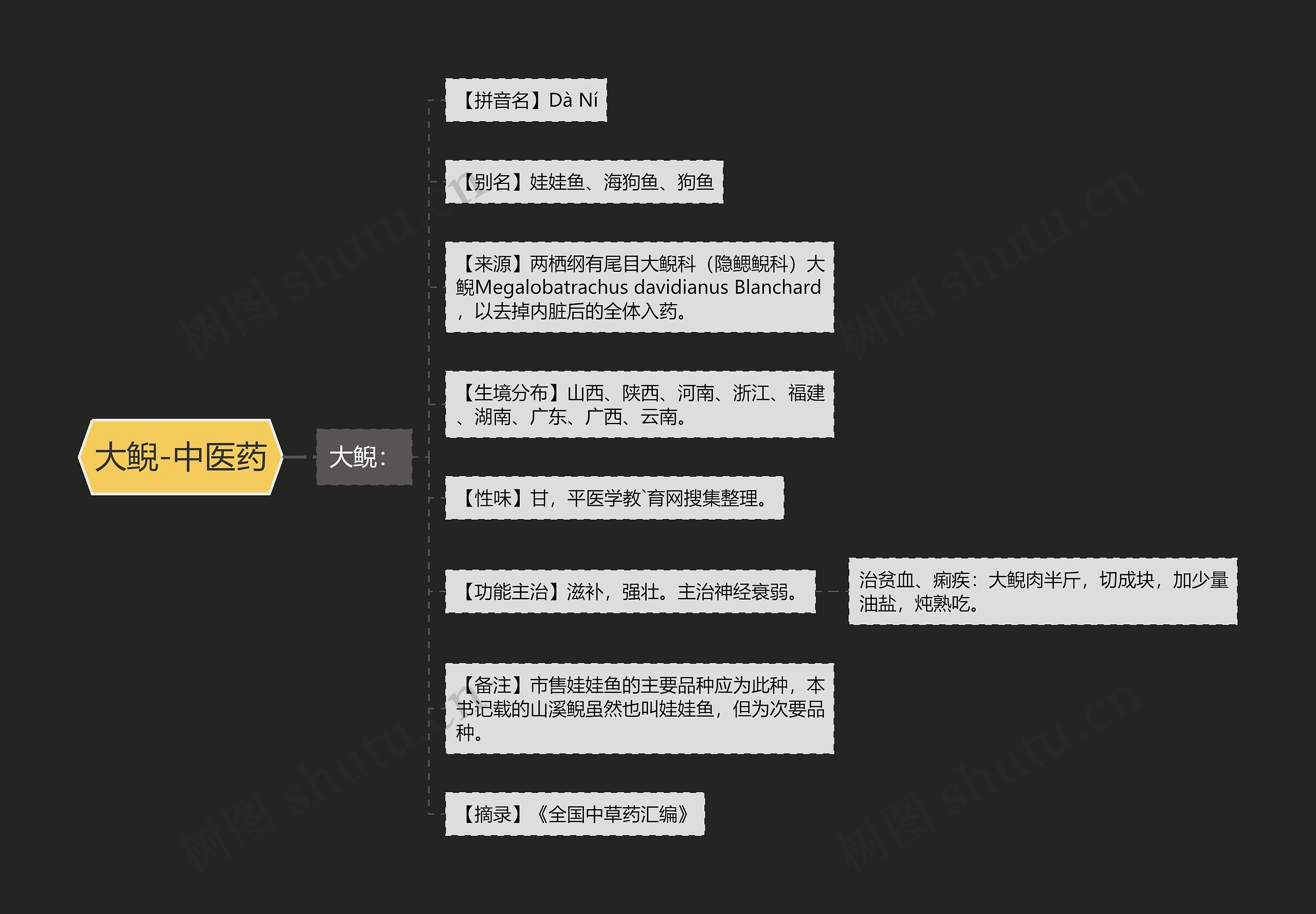大鲵-中医药思维导图