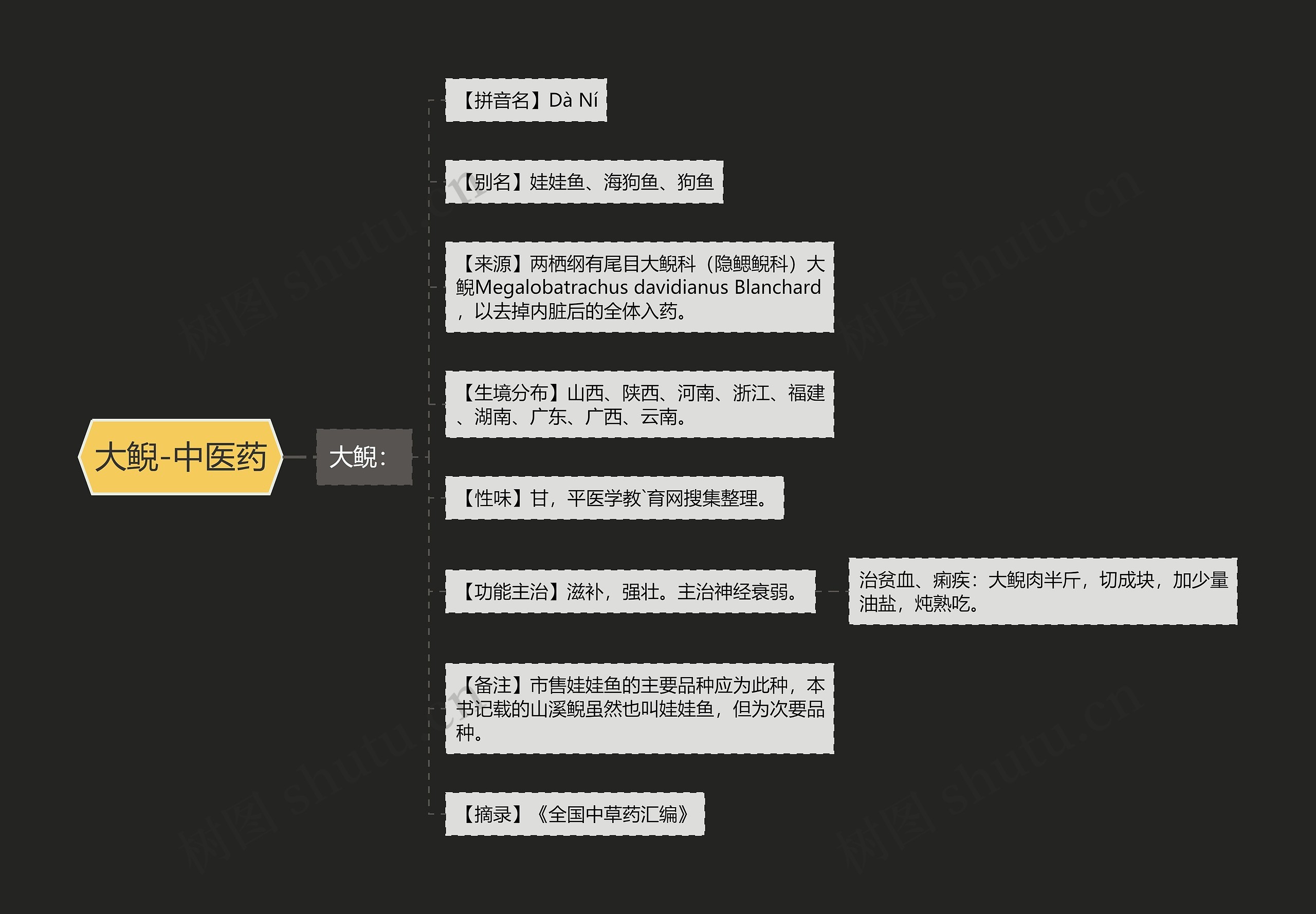 大鲵-中医药 大鲵-中医药
