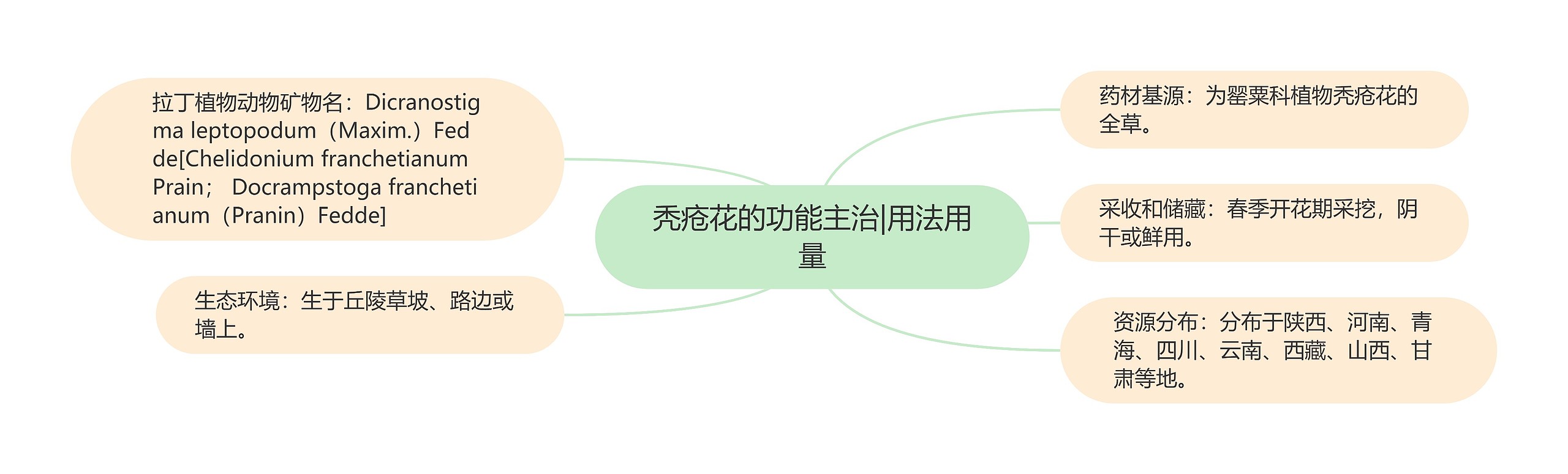 秃疮花的功能主治|用法用量 秃疮花的功能主治|用法用量