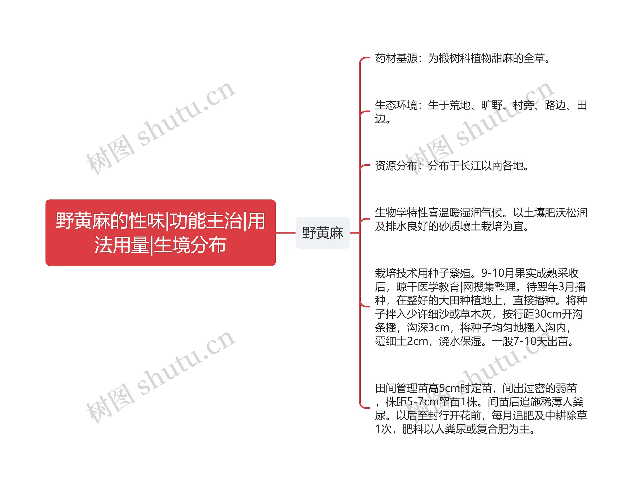 野黄麻的性味|功能主治|用法用量|生境分布