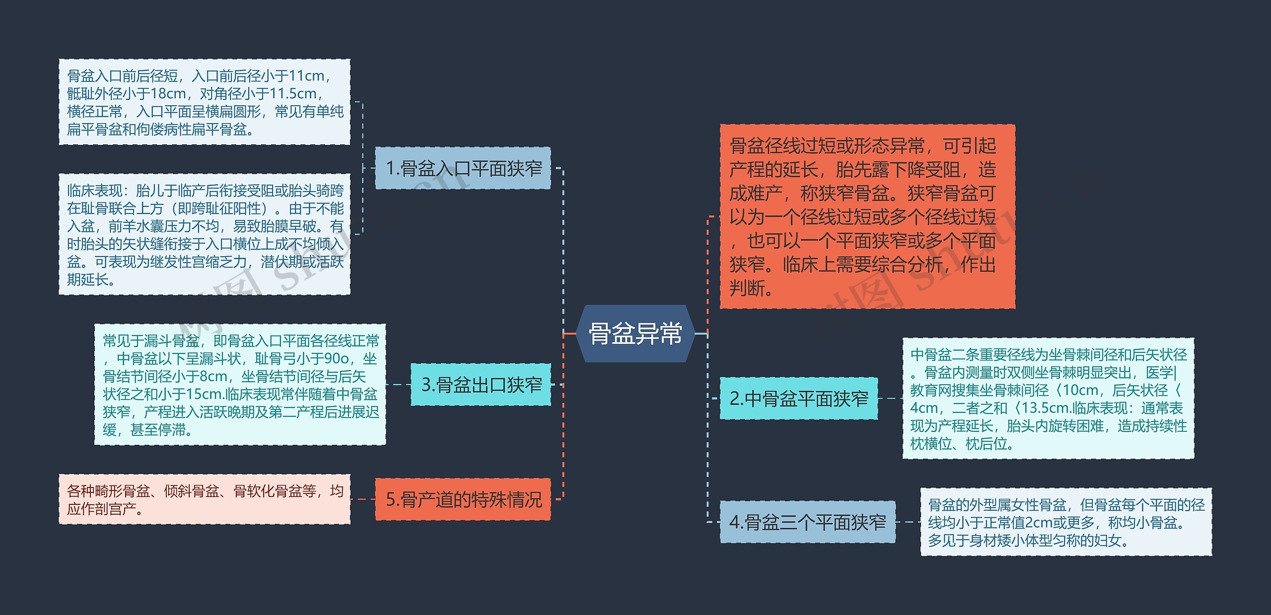 骨盆异常思维导图