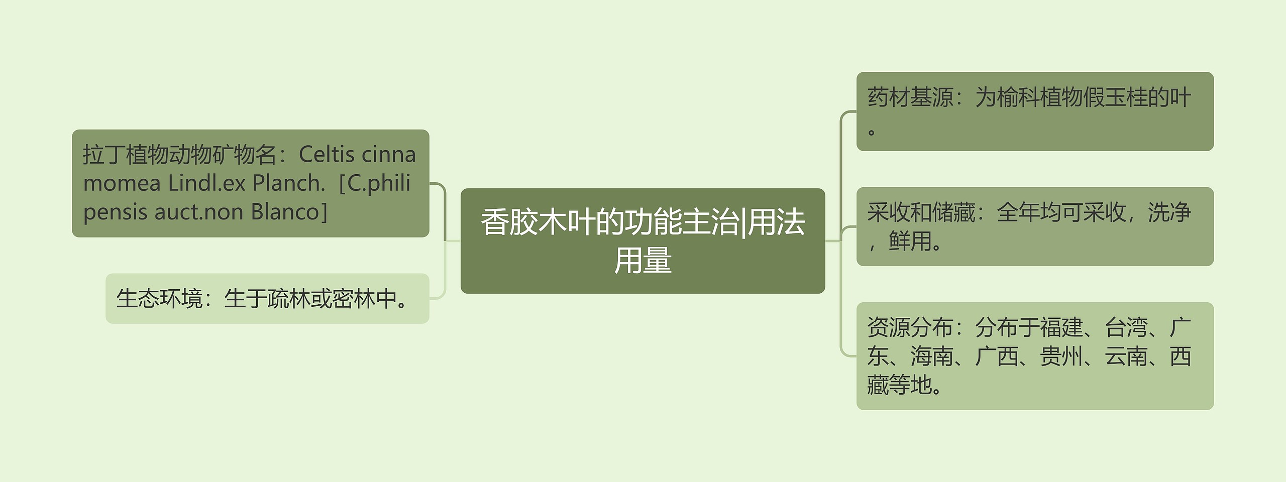 香胶木叶的功能主治|用法用量思维导图