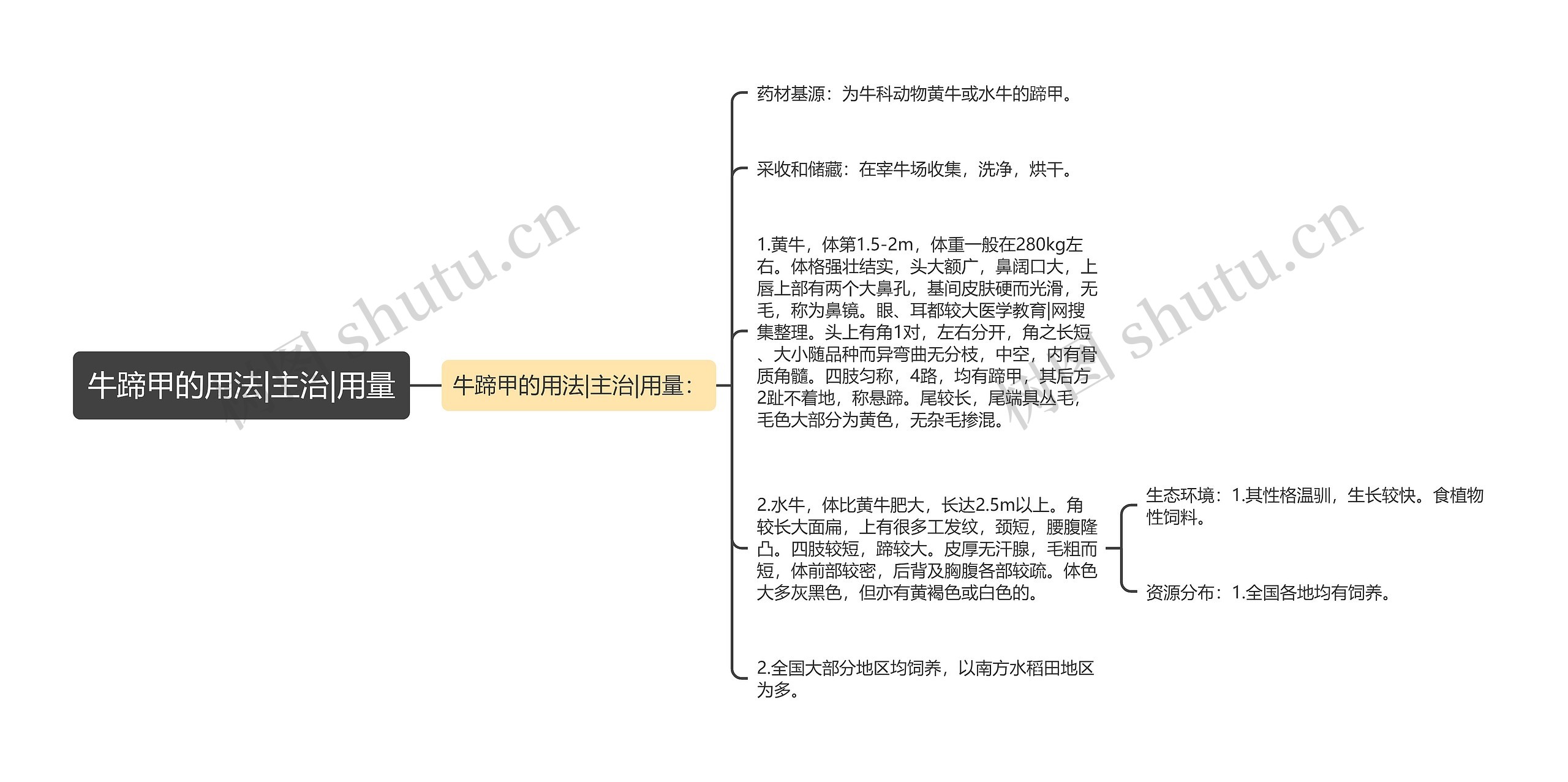 牛蹄甲的用法|主治|用量思维导图