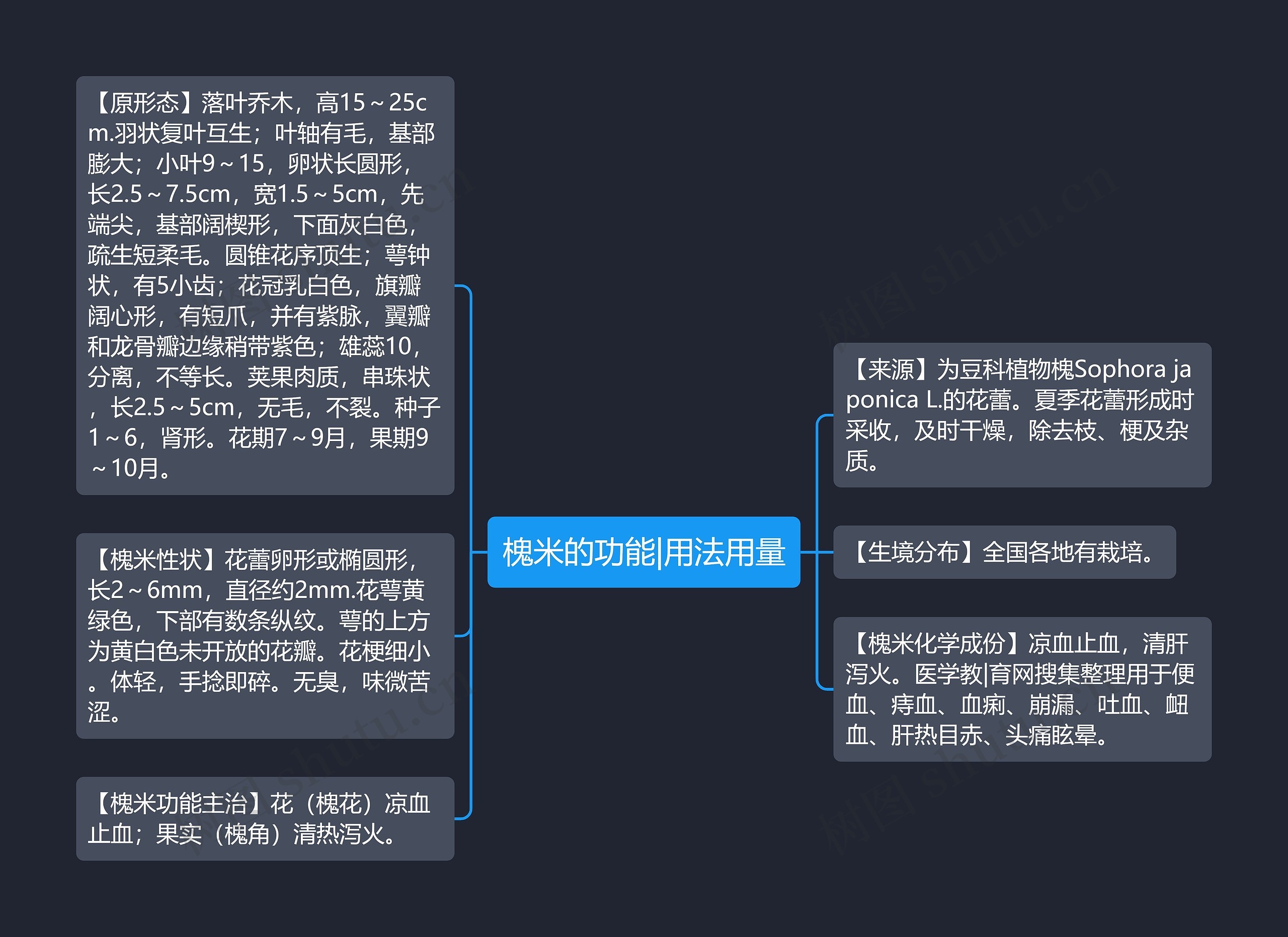 槐米的功能|用法用量思维导图