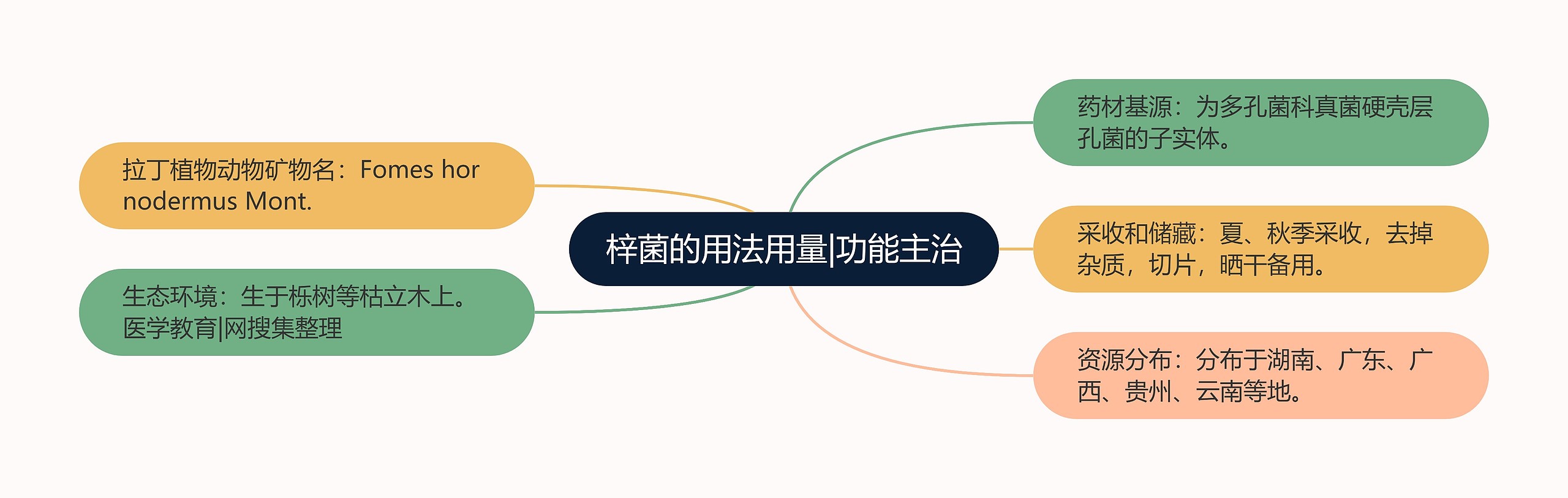 梓菌的用法用量|功能主治 梓菌的用法用量|功能主治