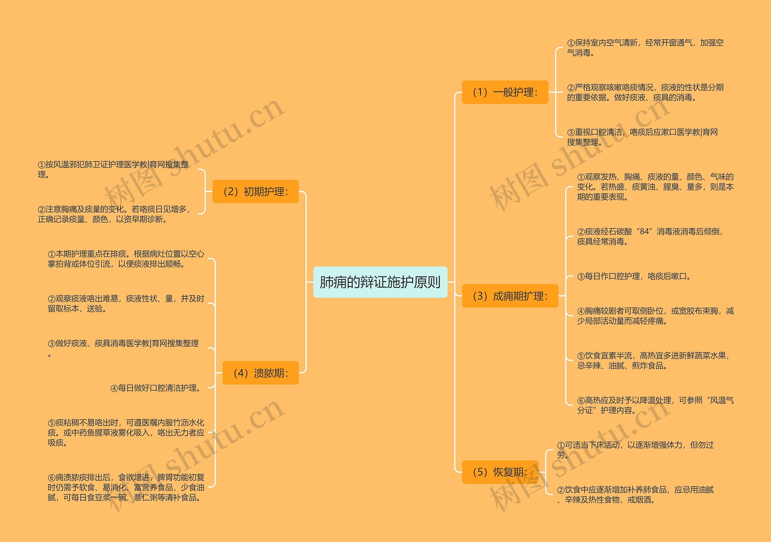 肺痈的辩证施护原则思维导图