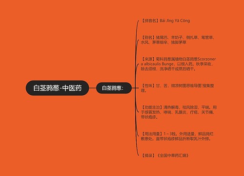 白茎鸦葱-中医药