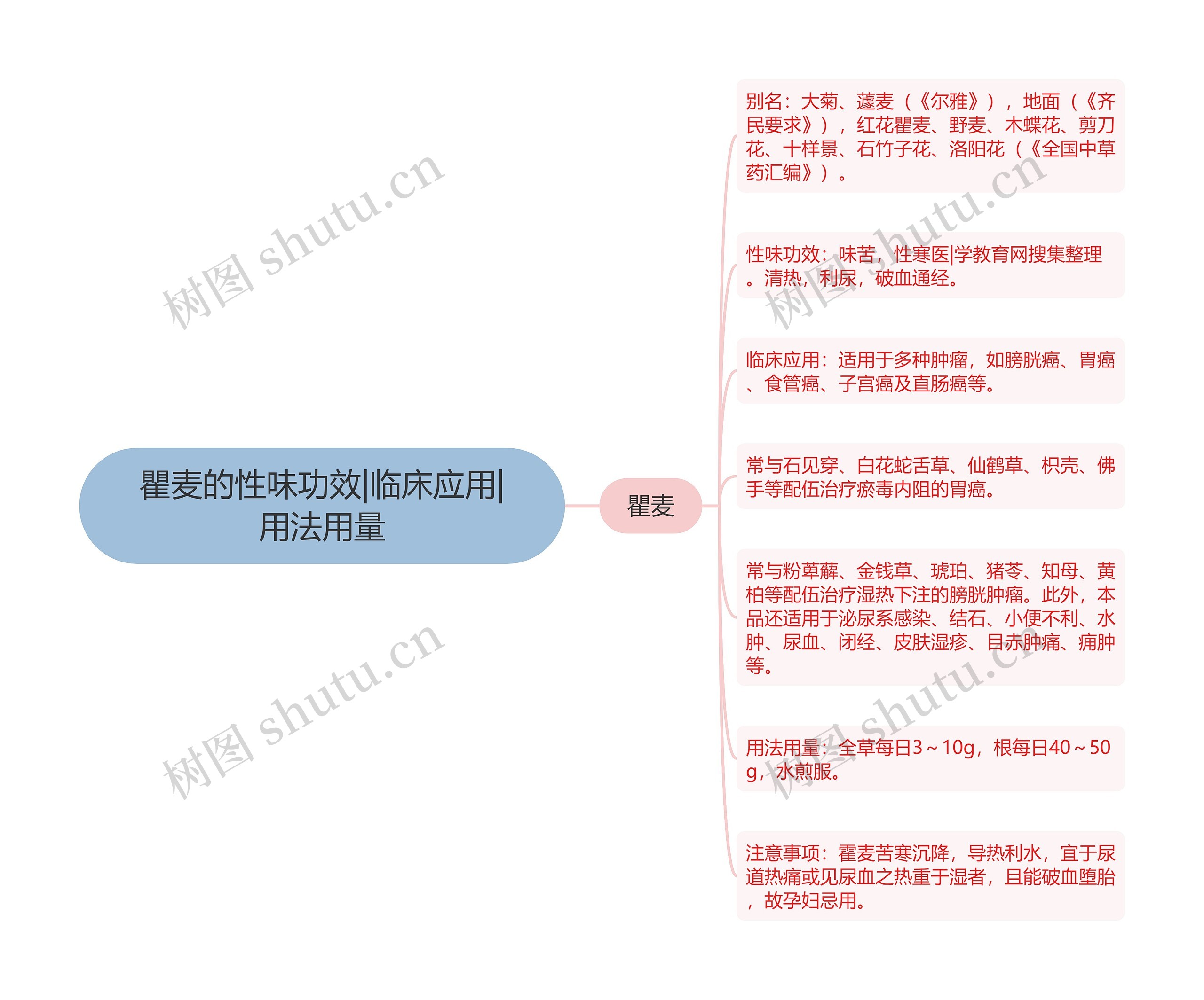 瞿麦的性味功效|临床应用|用法用量