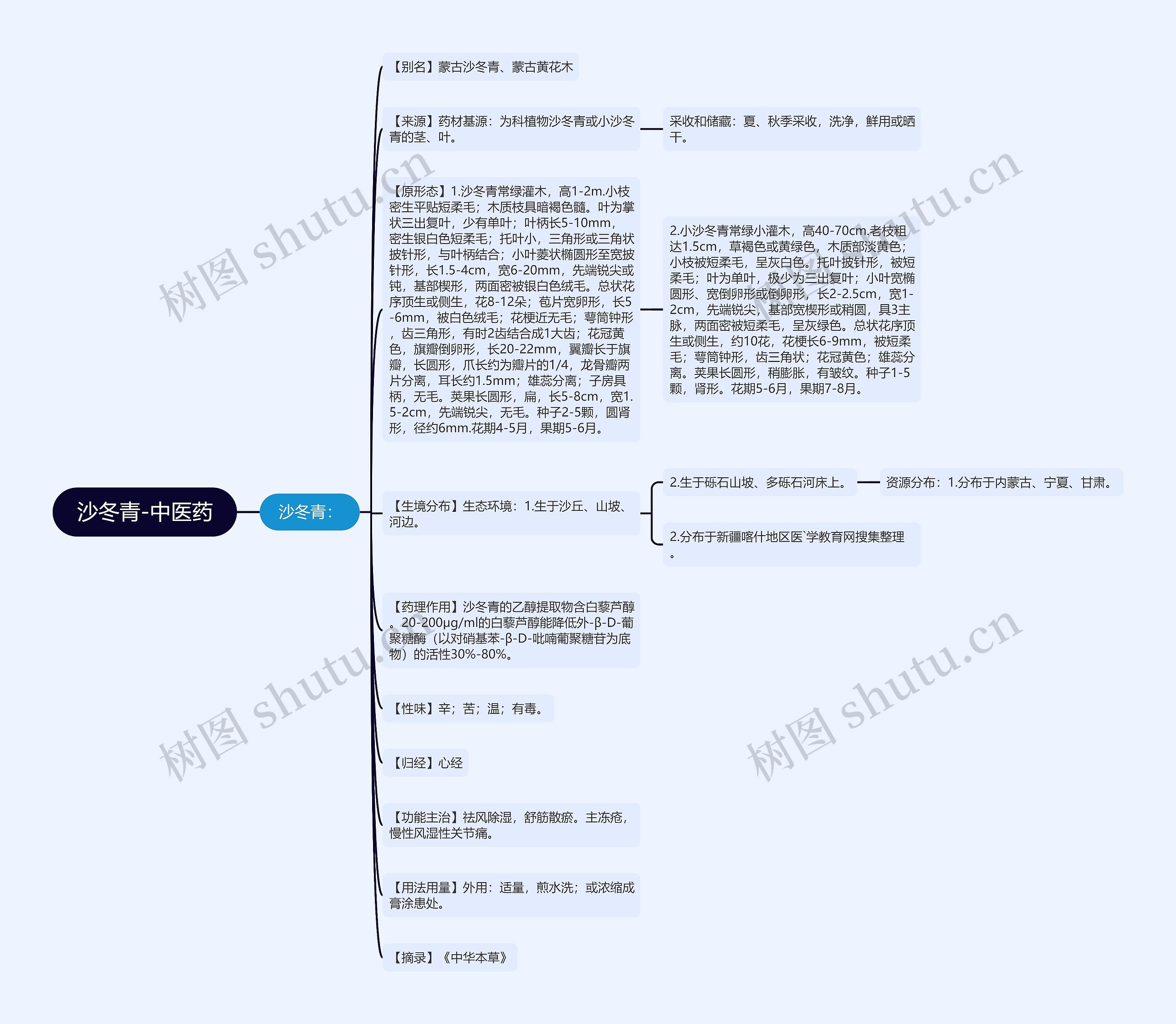 沙冬青-中医药思维导图
