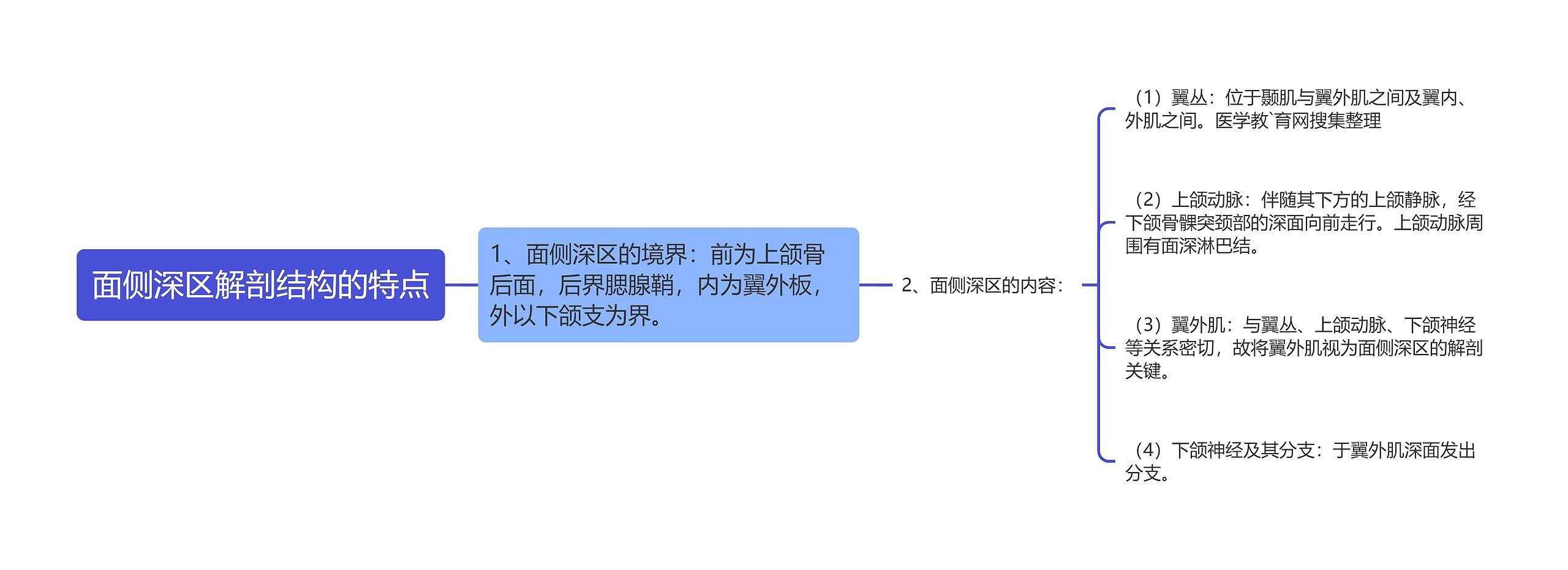 面侧深区解剖结构的特点