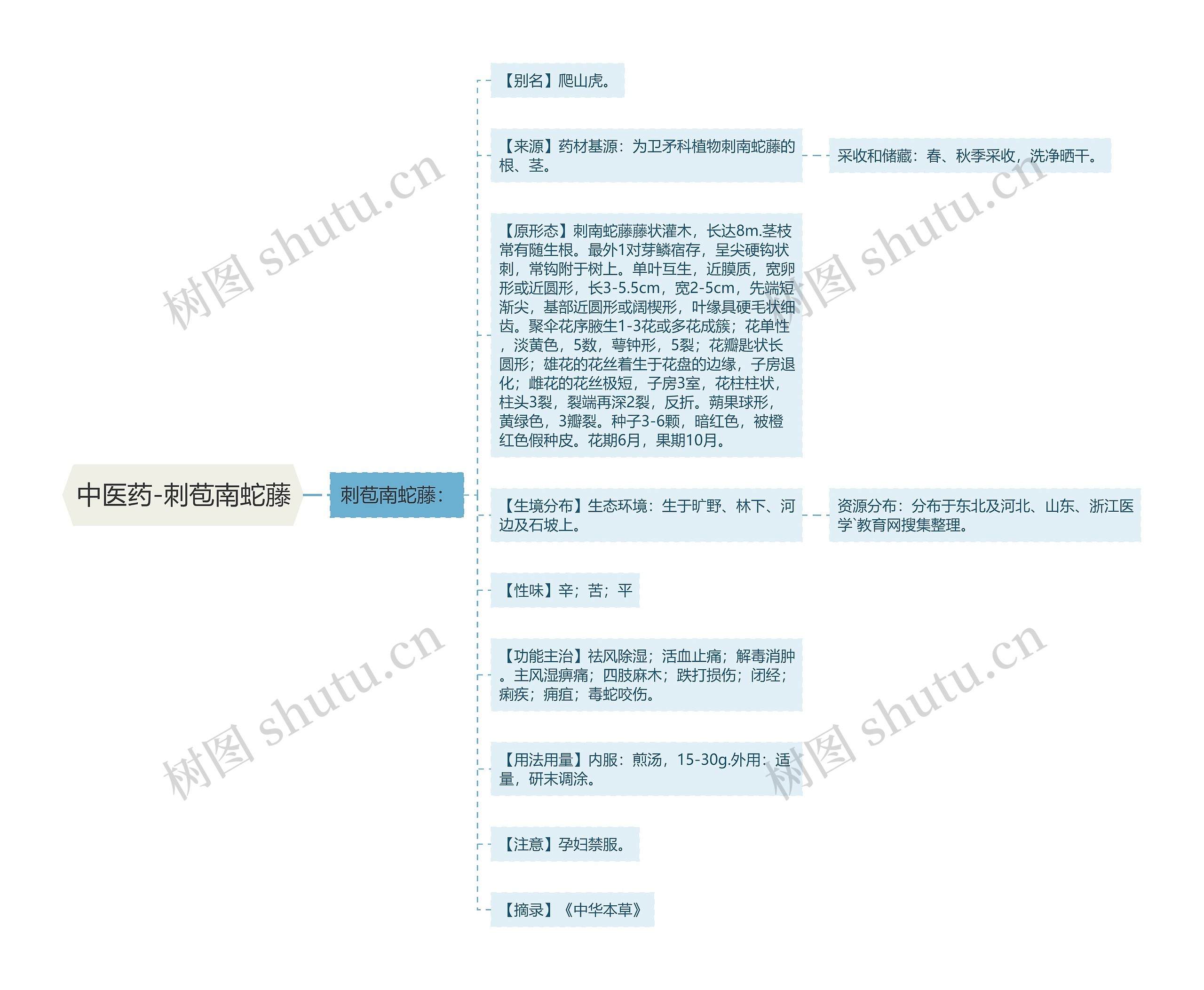 中医药-刺苞南蛇藤 中医药-刺苞南蛇藤
