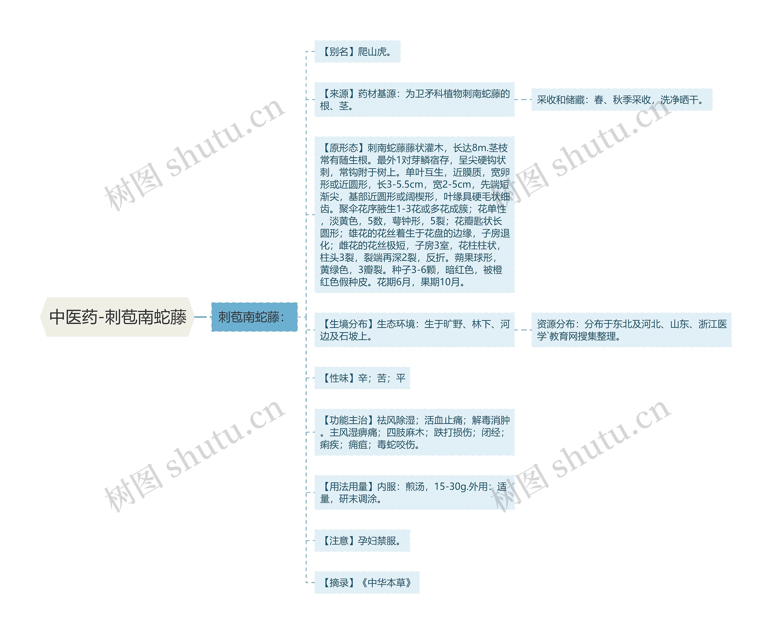 中医药-刺苞南蛇藤思维导图