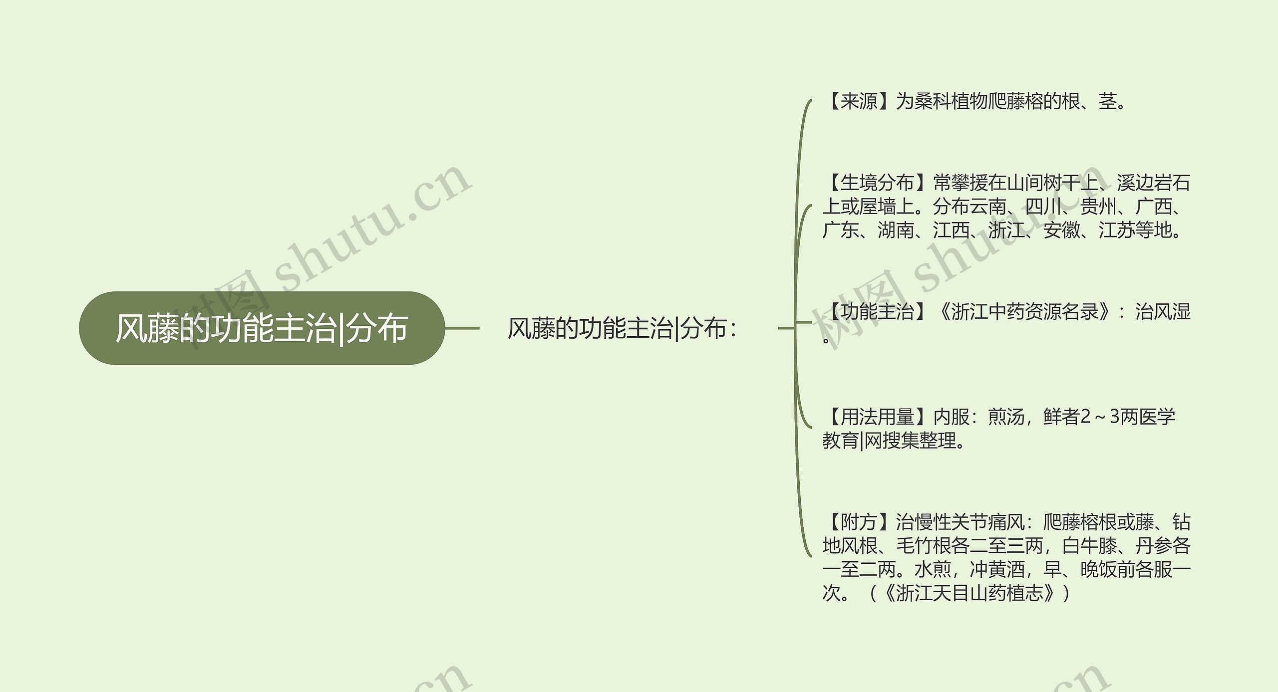 风藤的功能主治|分布