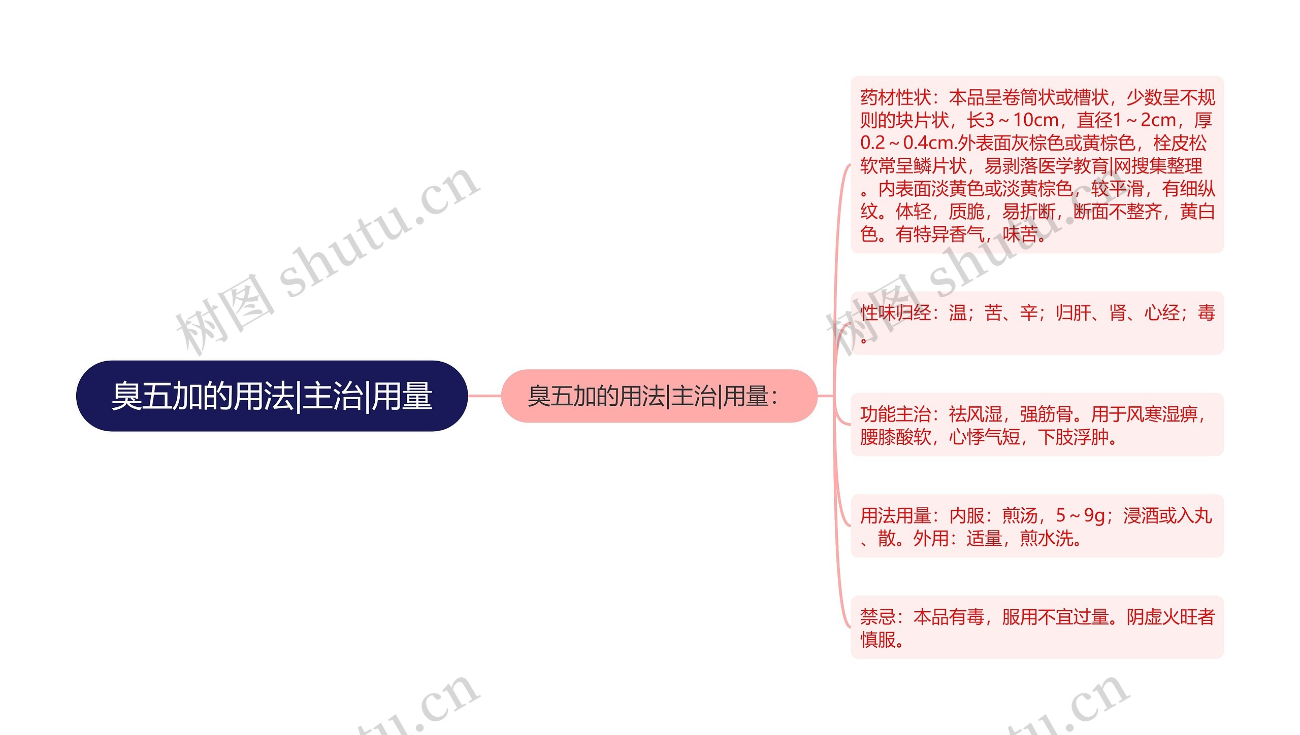 臭五加的用法|主治|用量 臭五加的用法|主治|用量