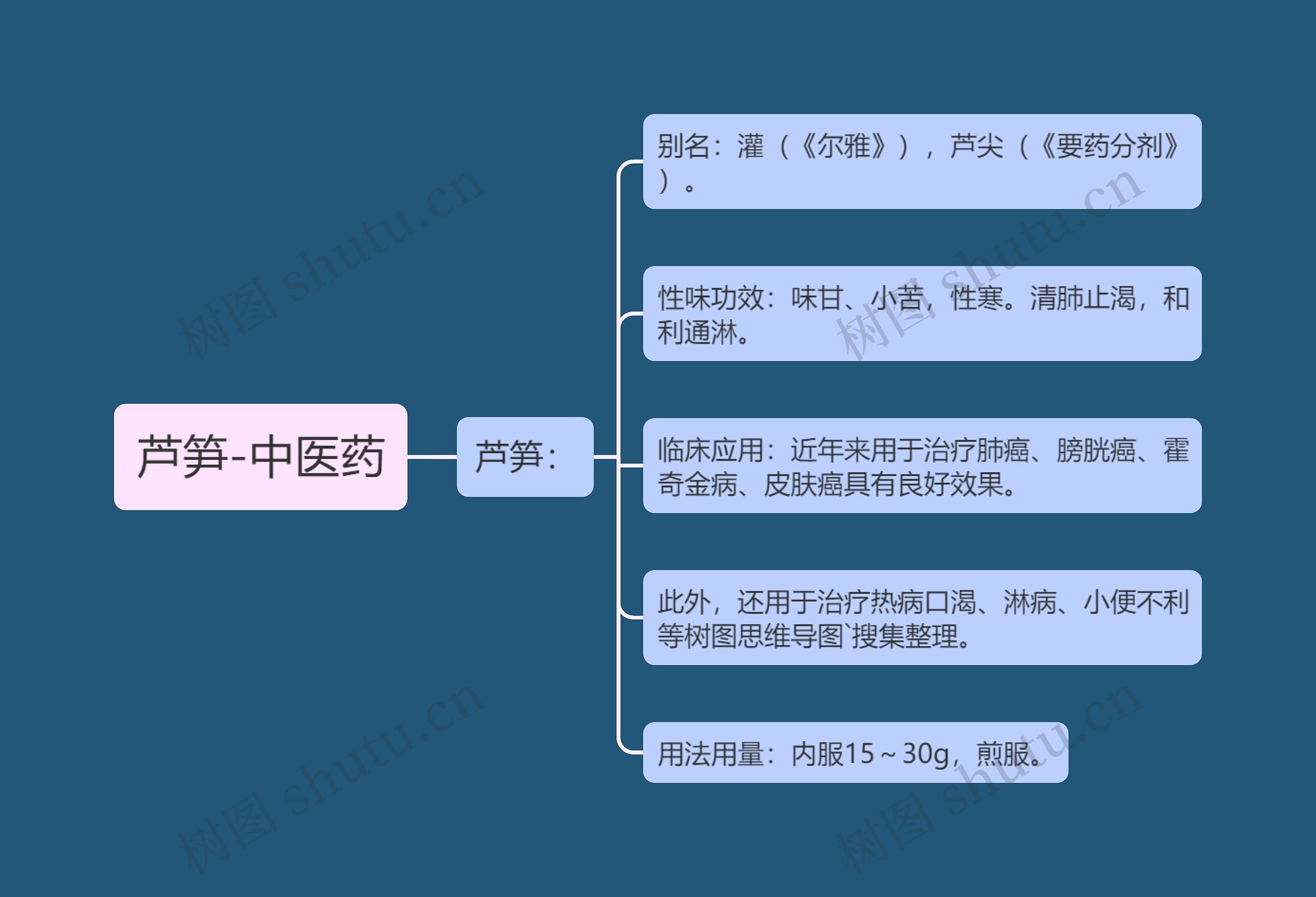 芦笋-中医药 芦笋-中医药
