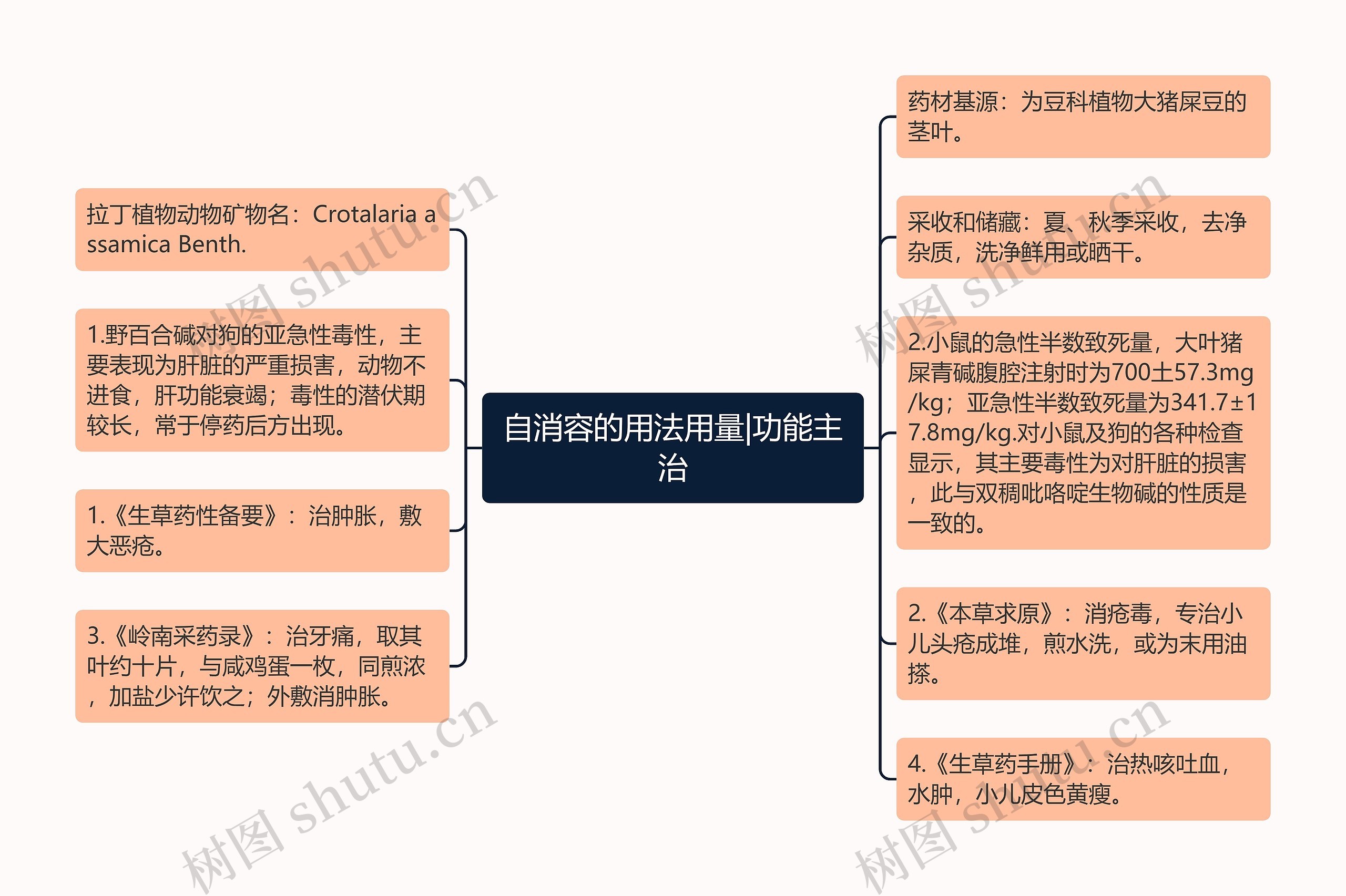 自消容的用法用量|功能主治