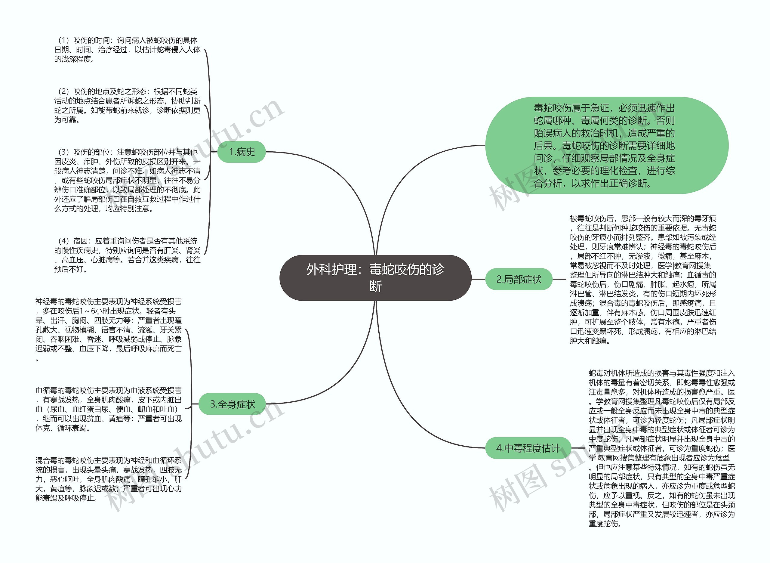 外科护理：毒蛇咬伤的诊断思维导图