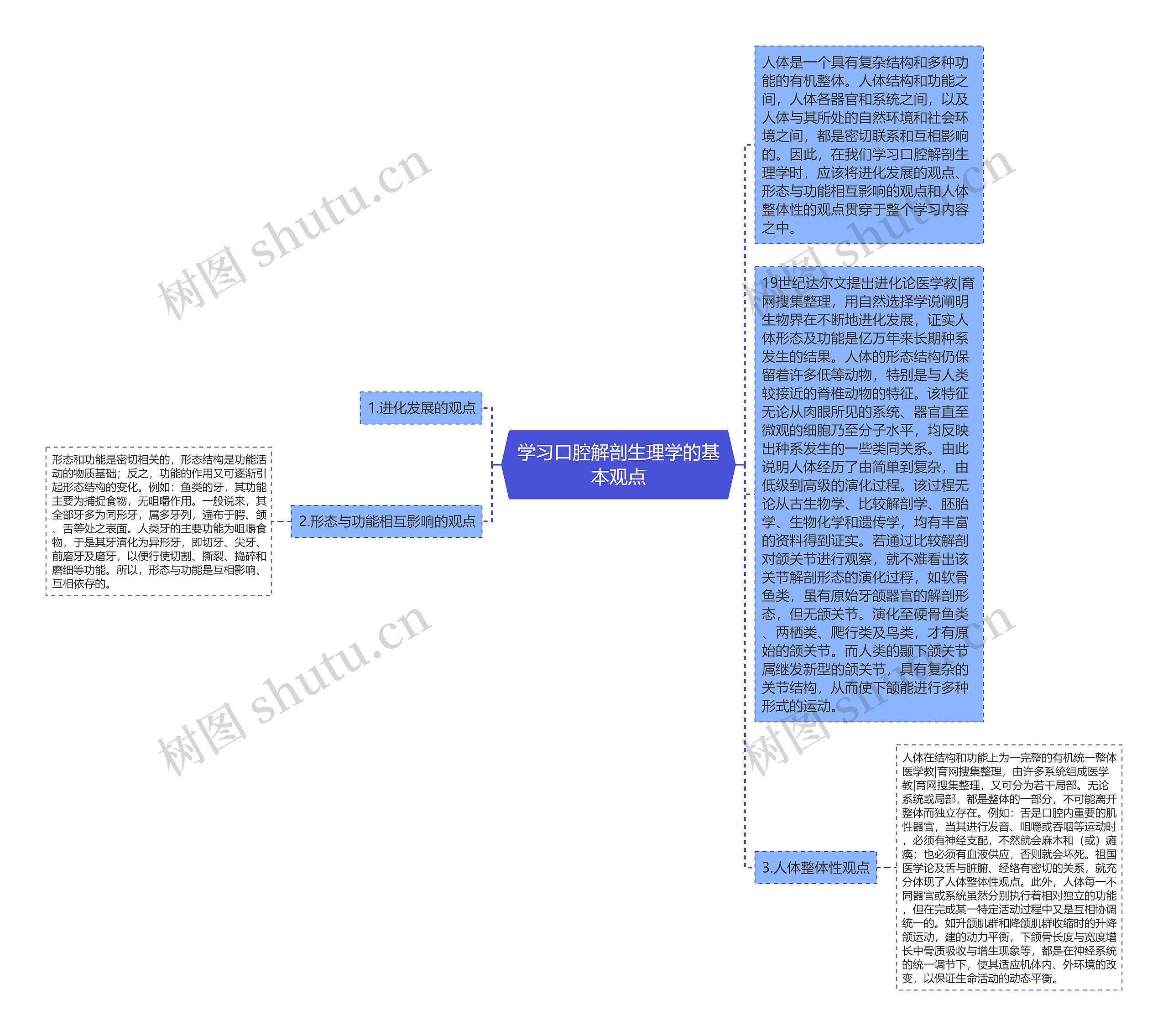 学习口腔解剖生理学的基本观点思维导图