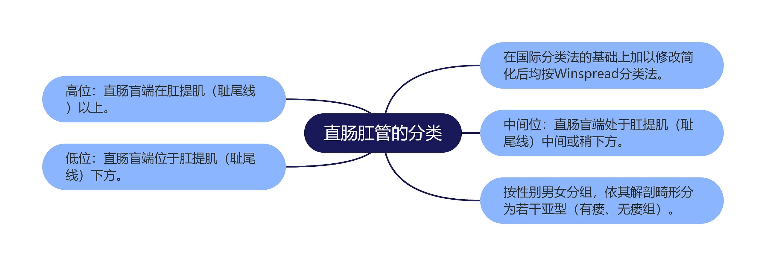 直肠肛管的分类思维导图