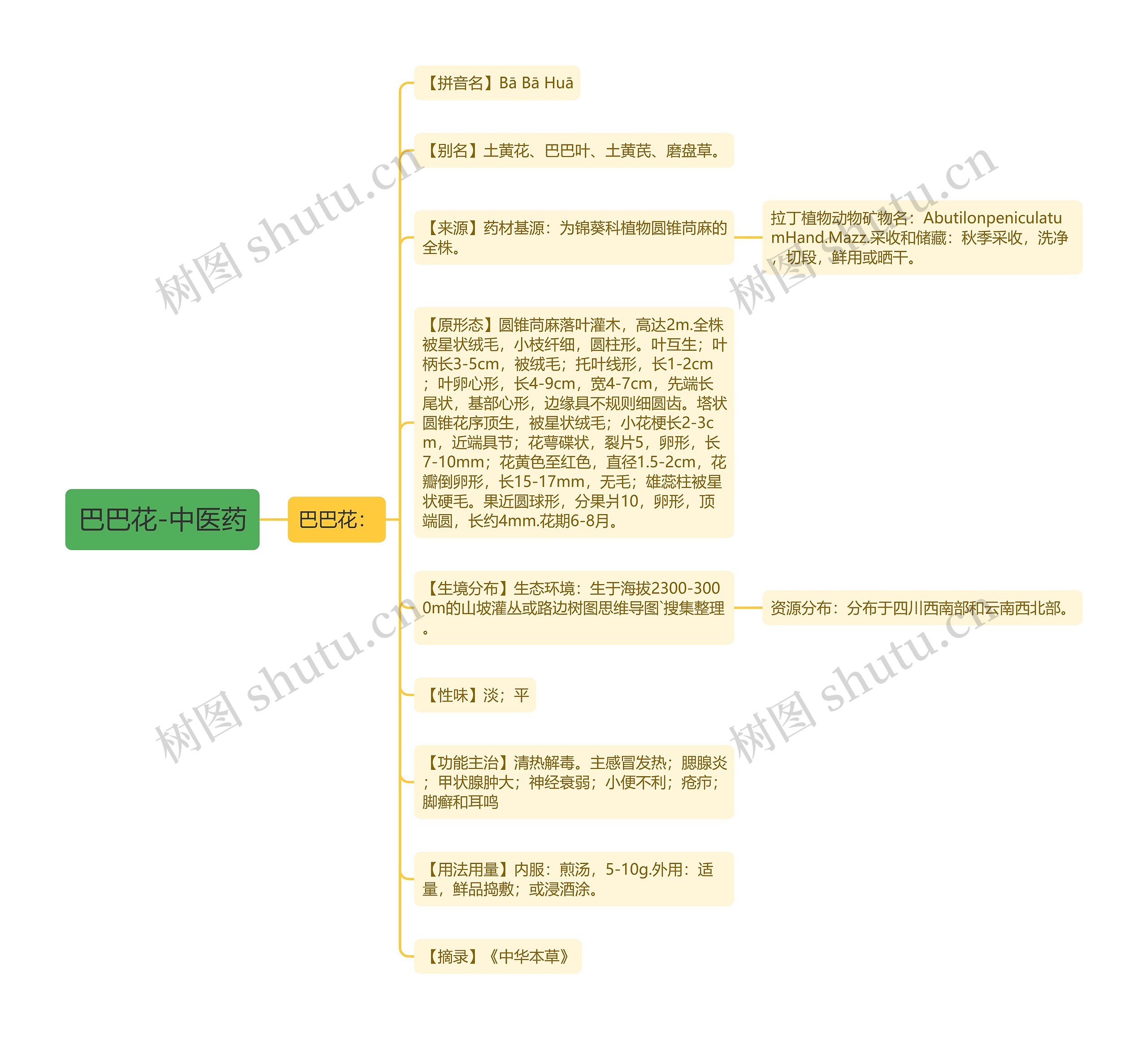 巴巴花-中医药 巴巴花-中医药