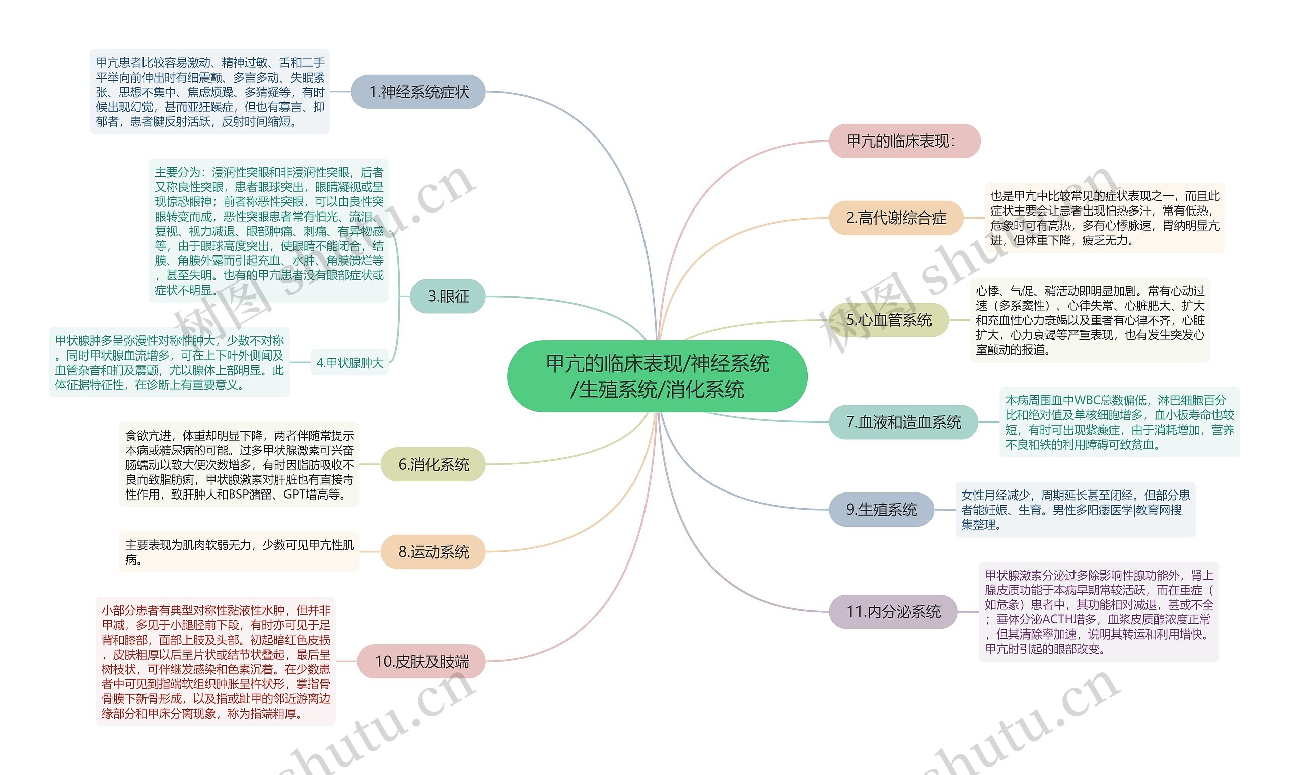 甲亢的临床表现/神经系统/生殖系统/消化系统思维导图