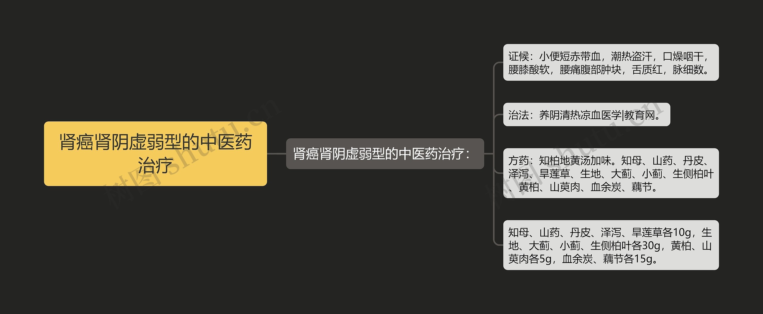 肾癌肾阴虚弱型的中医药治疗思维导图