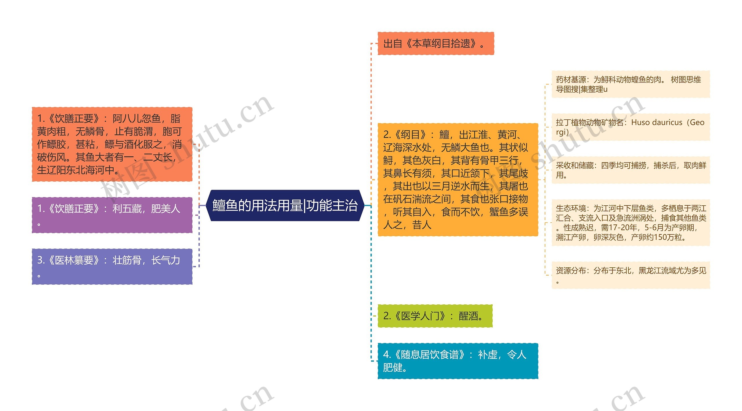 鱣鱼的用法用量|功能主治思维导图