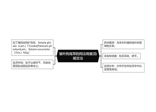 皱叶狗尾草的用法用量|功能主治