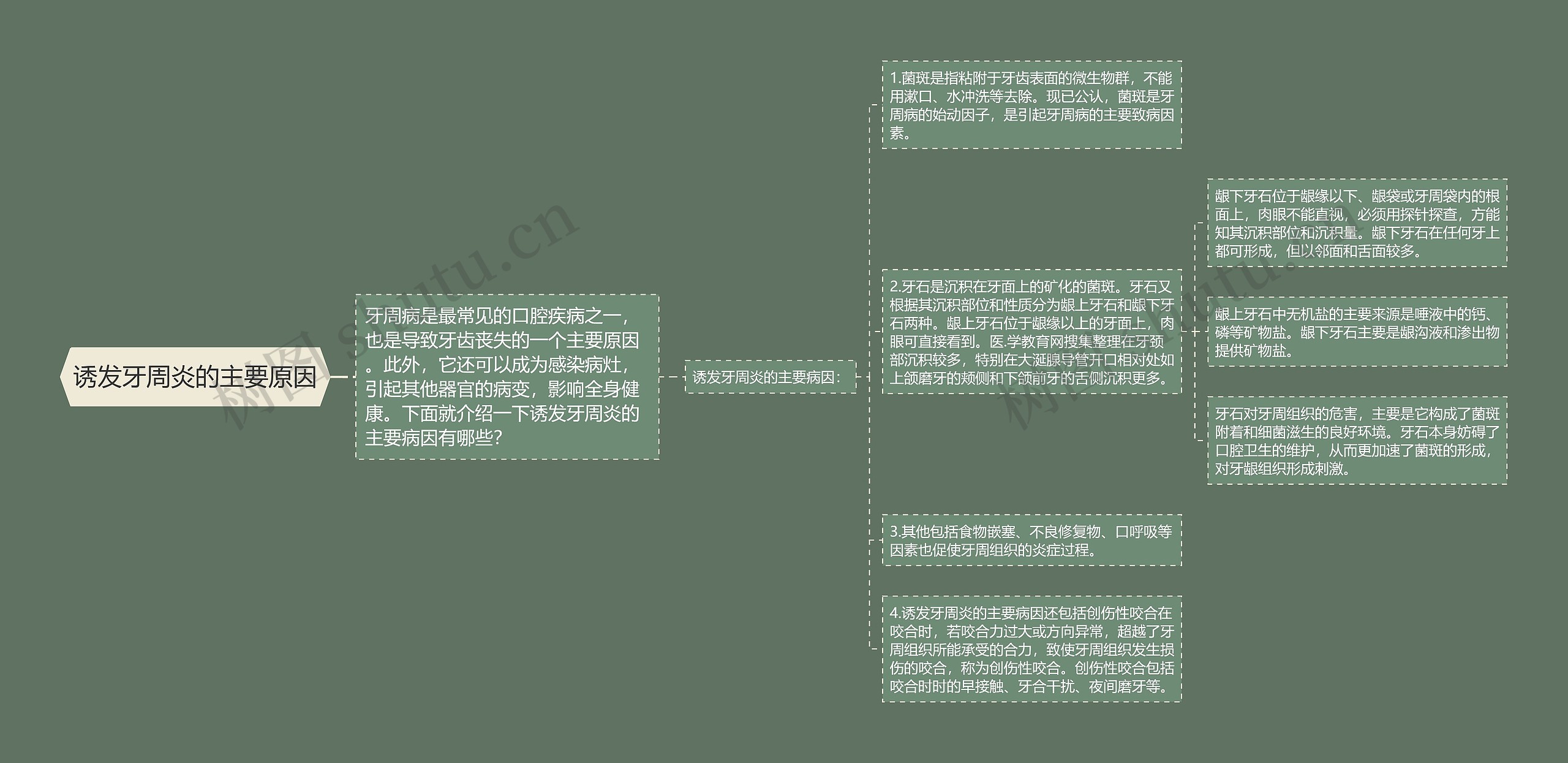 诱发牙周炎的主要原因