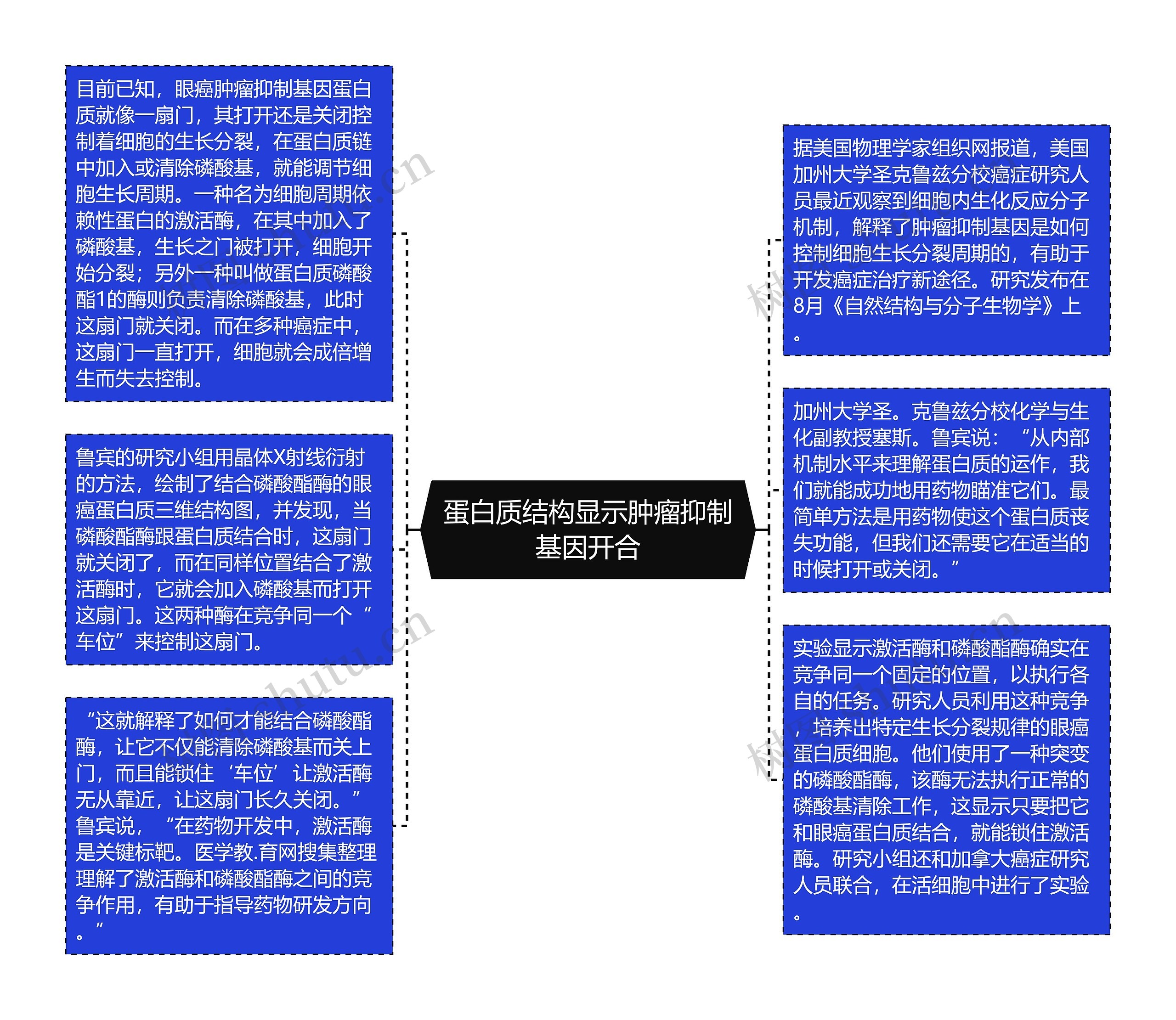 蛋白质结构显示肿瘤抑制基因开合