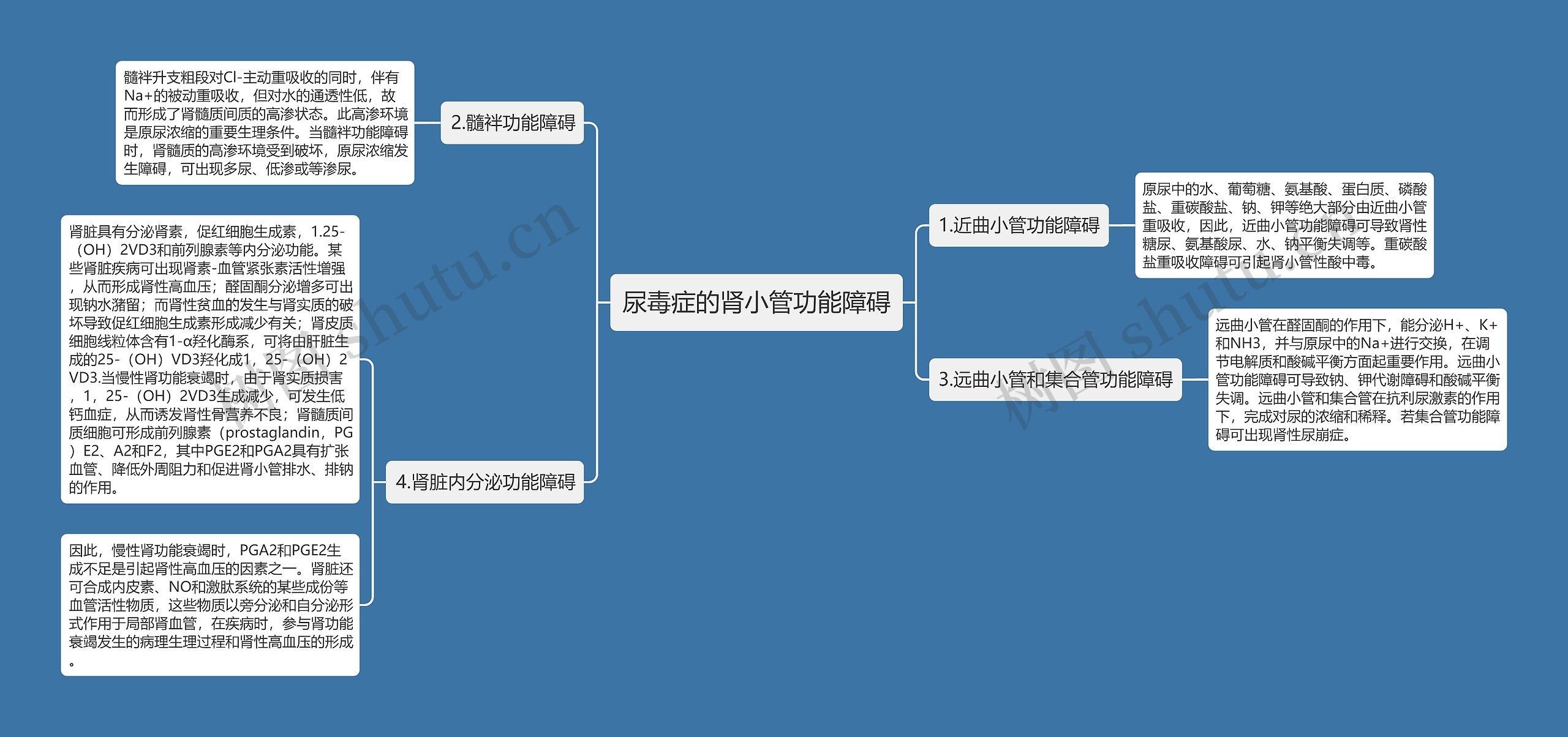 尿毒症的肾小管功能障碍思维导图