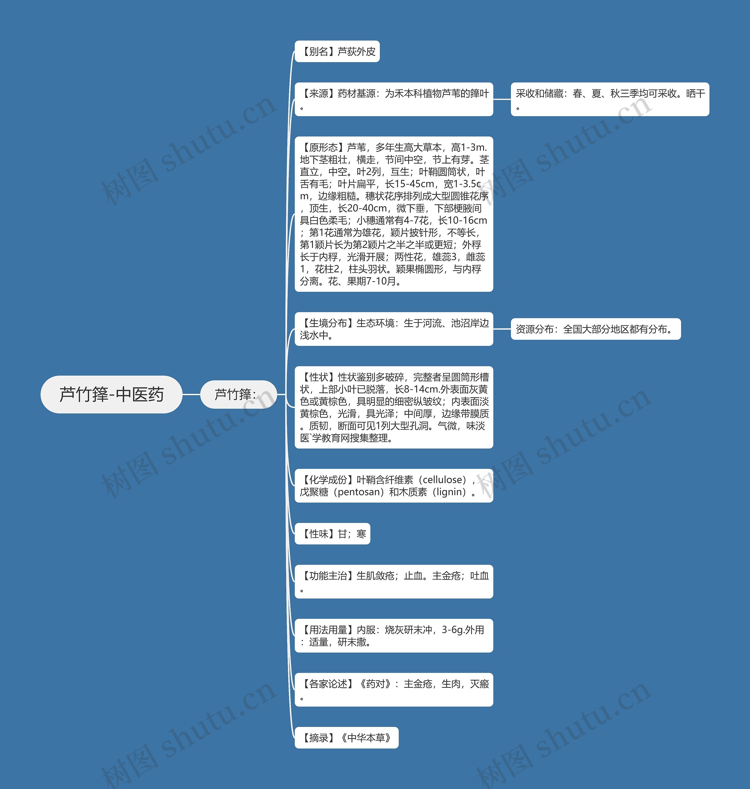 芦竹箨-中医药 芦竹箨-中医药