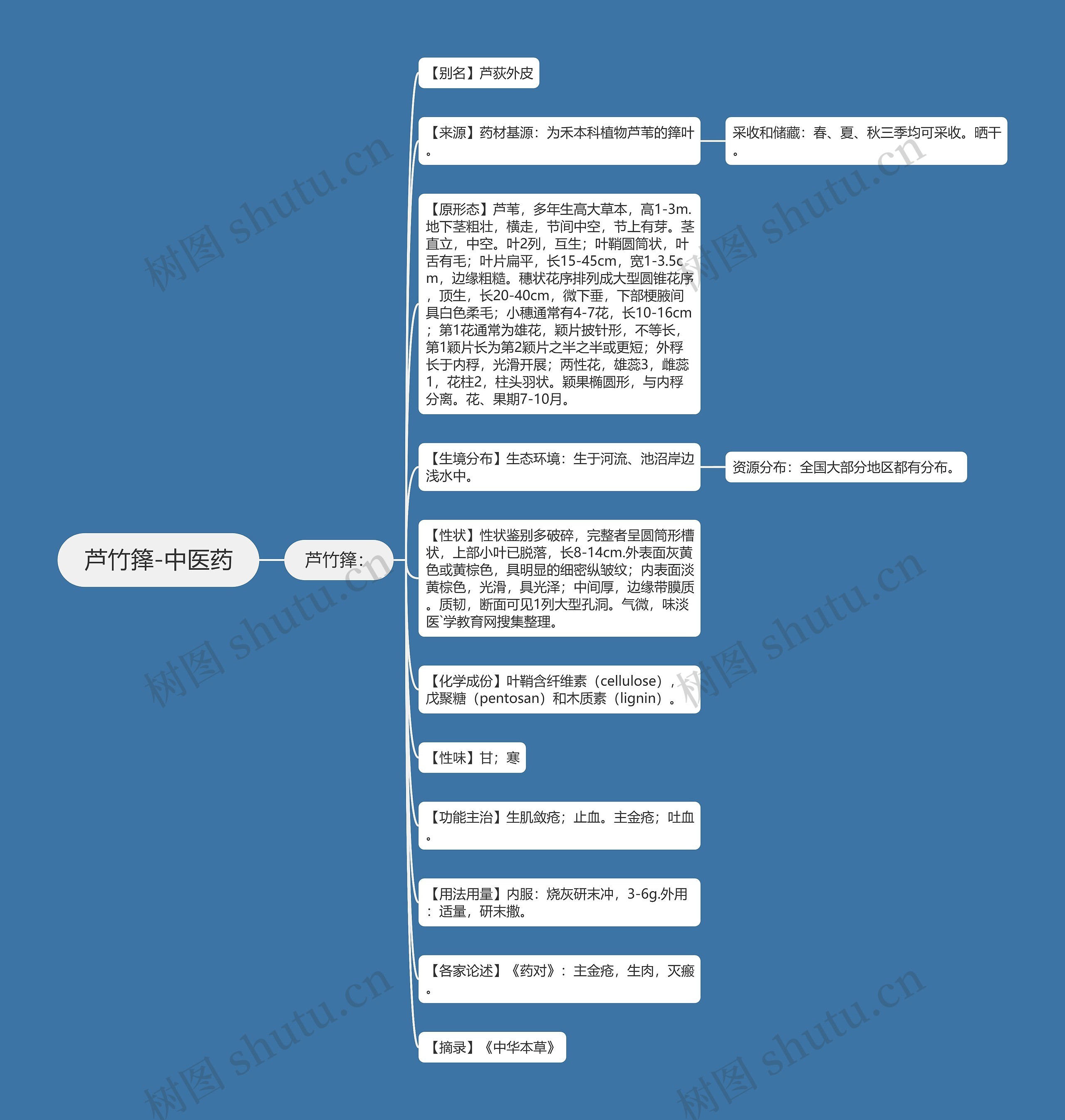 芦竹箨-中医药思维导图