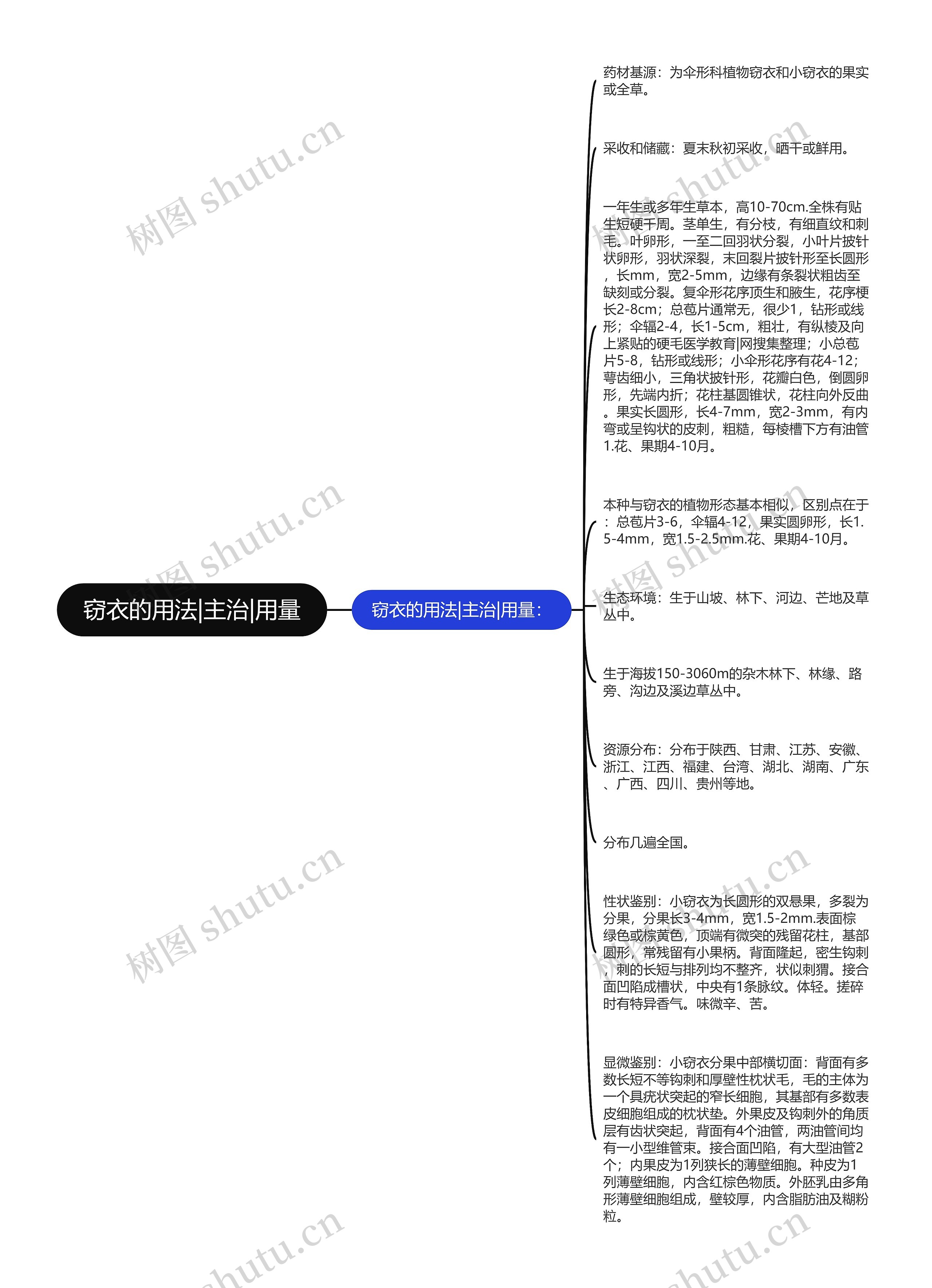 窃衣的用法|主治|用量思维导图