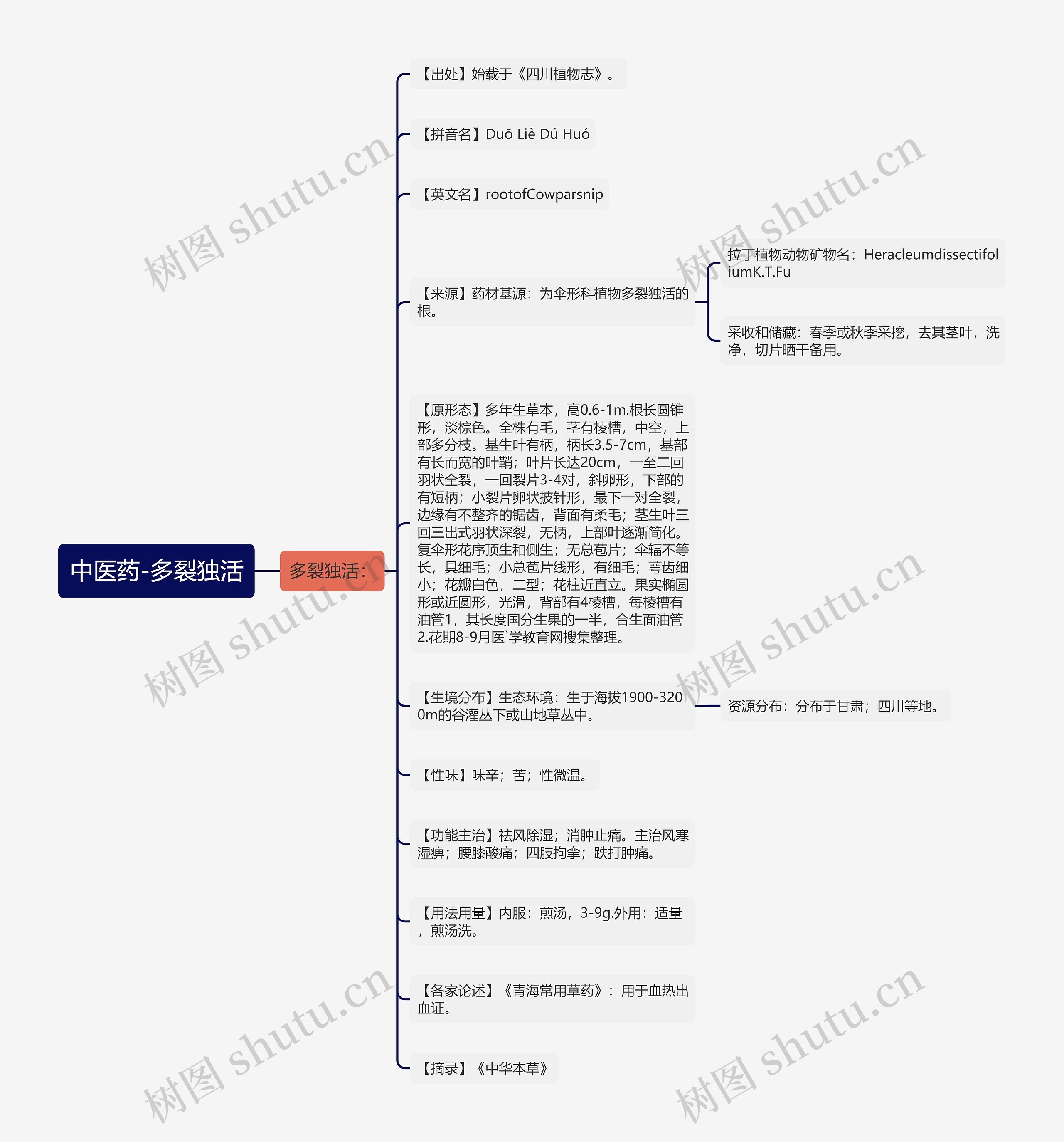 中医药-多裂独活思维导图