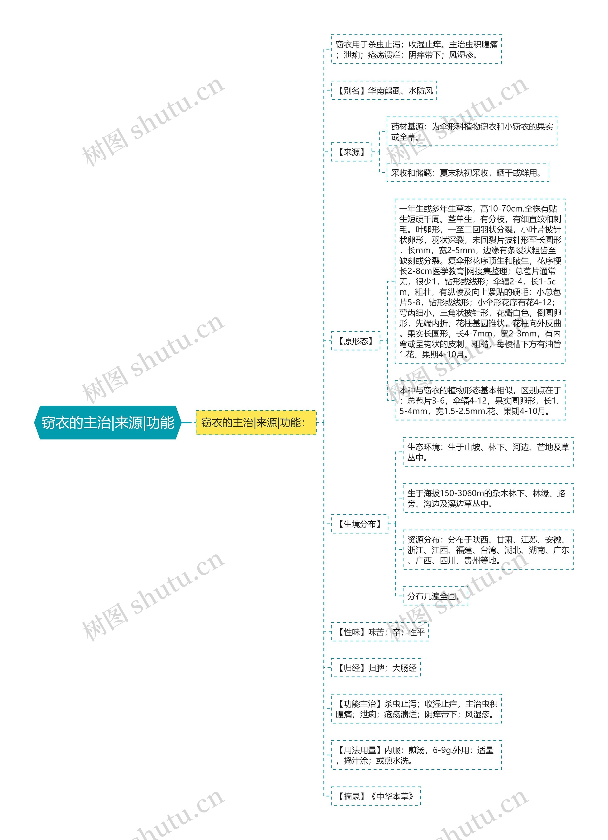 窃衣的主治|来源|功能思维导图