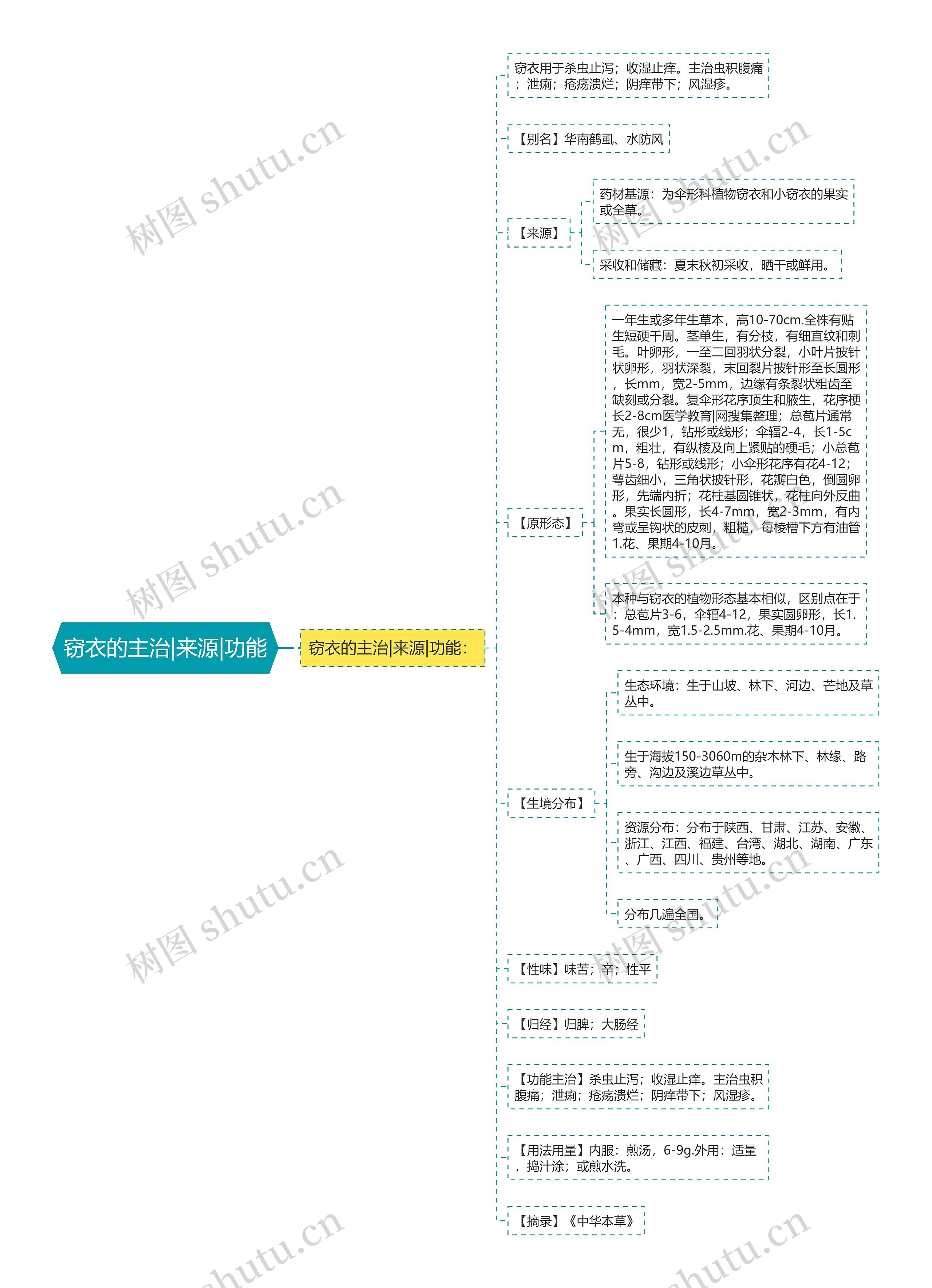 窃衣的主治|来源|功能 窃衣的主治|来源|功能