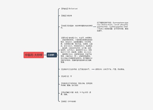 中医药-大桫椤