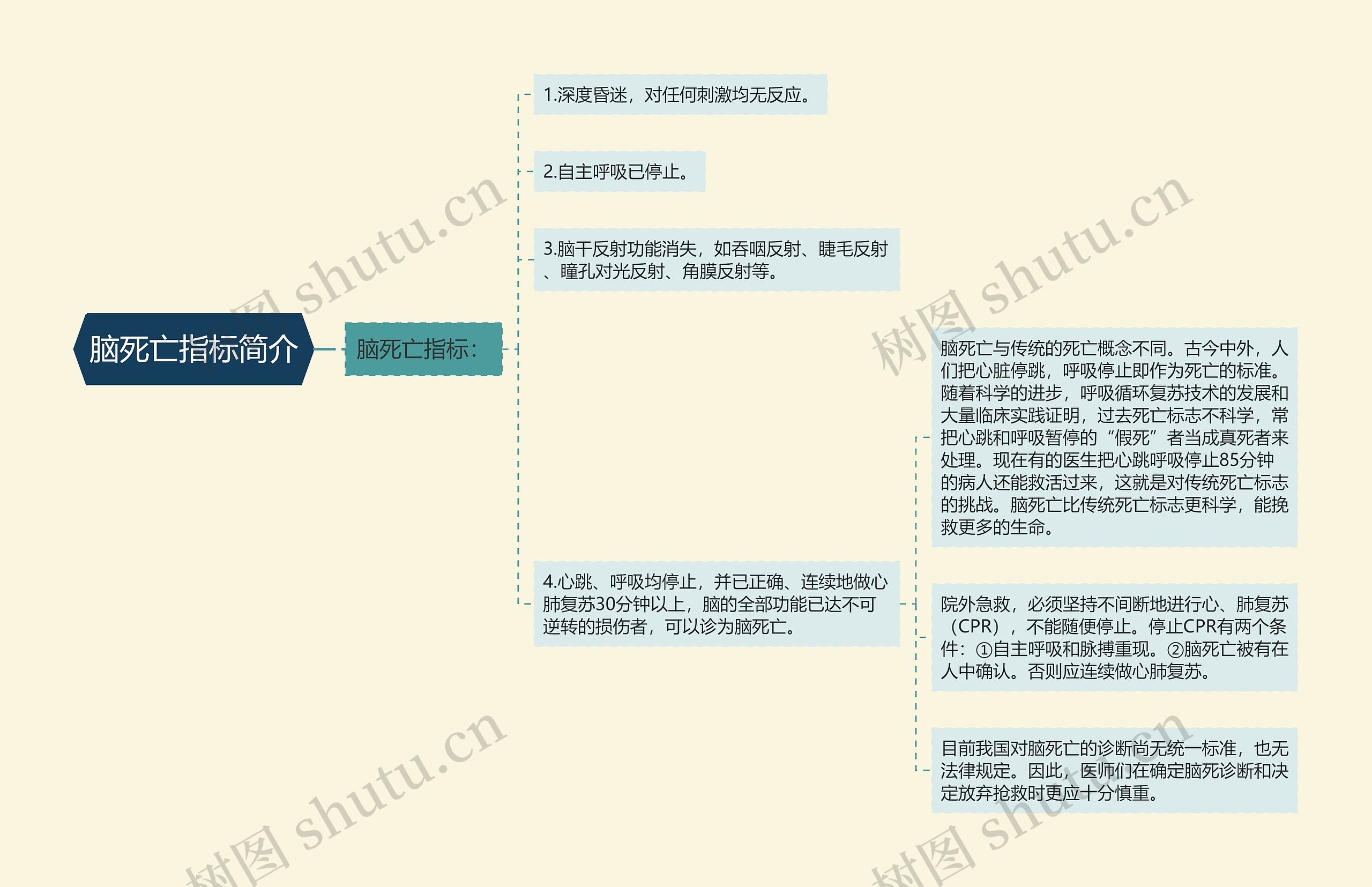 脑死亡指标简介