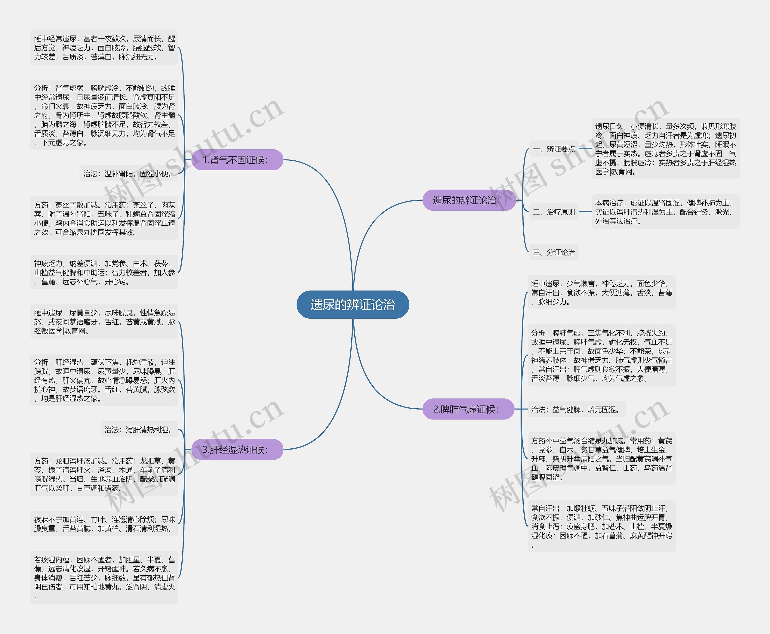 遗尿的辨证论治思维导图