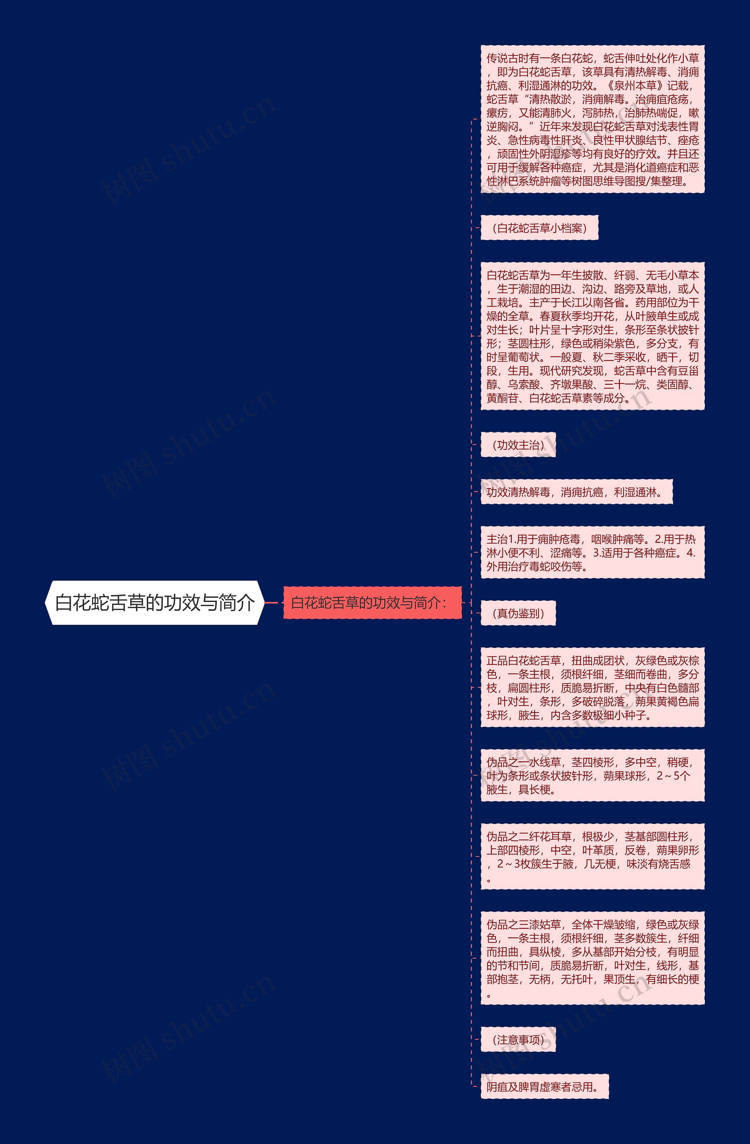 白花蛇舌草的功效与简介思维导图