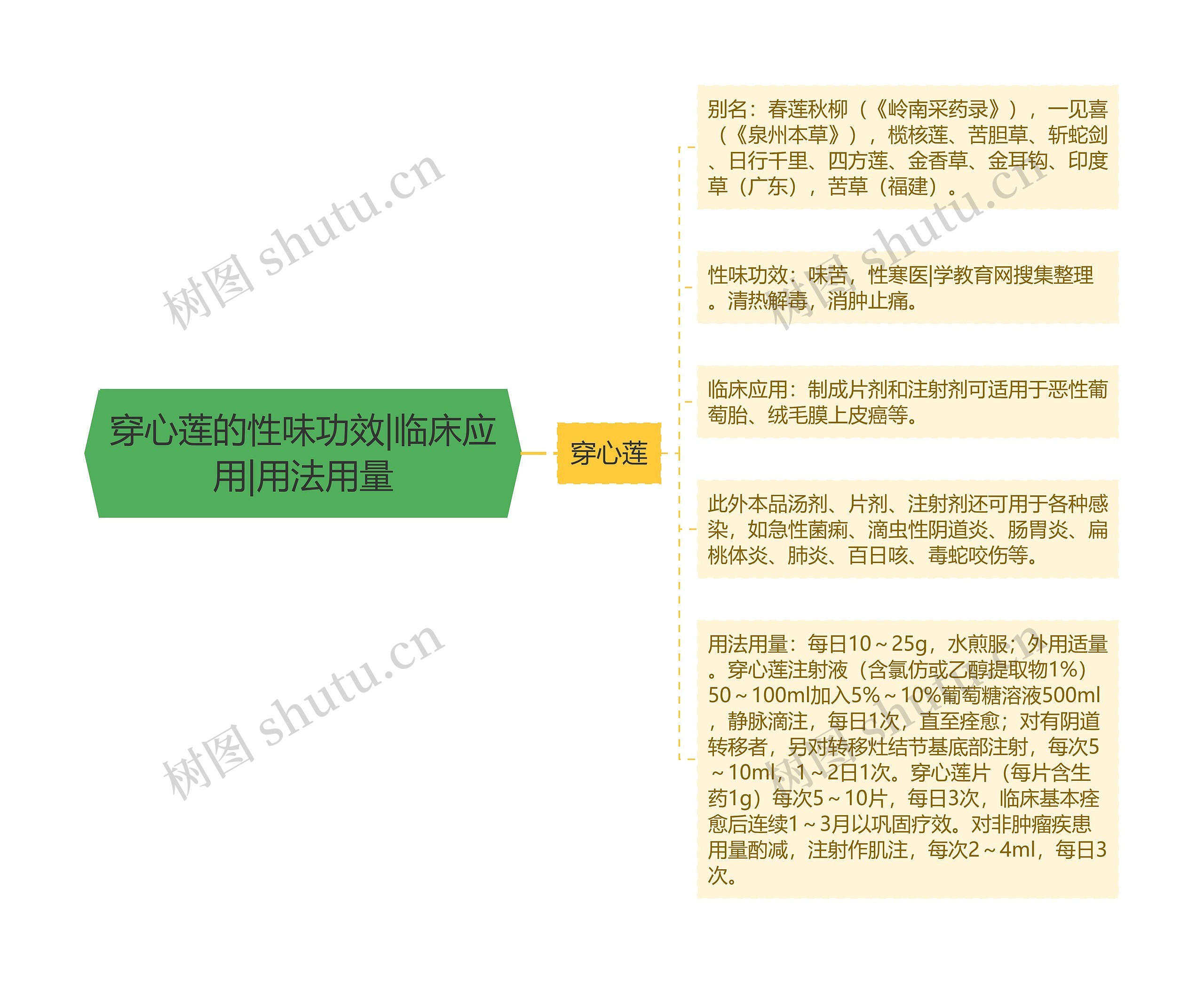 穿心莲的性味功效|临床应用|用法用量