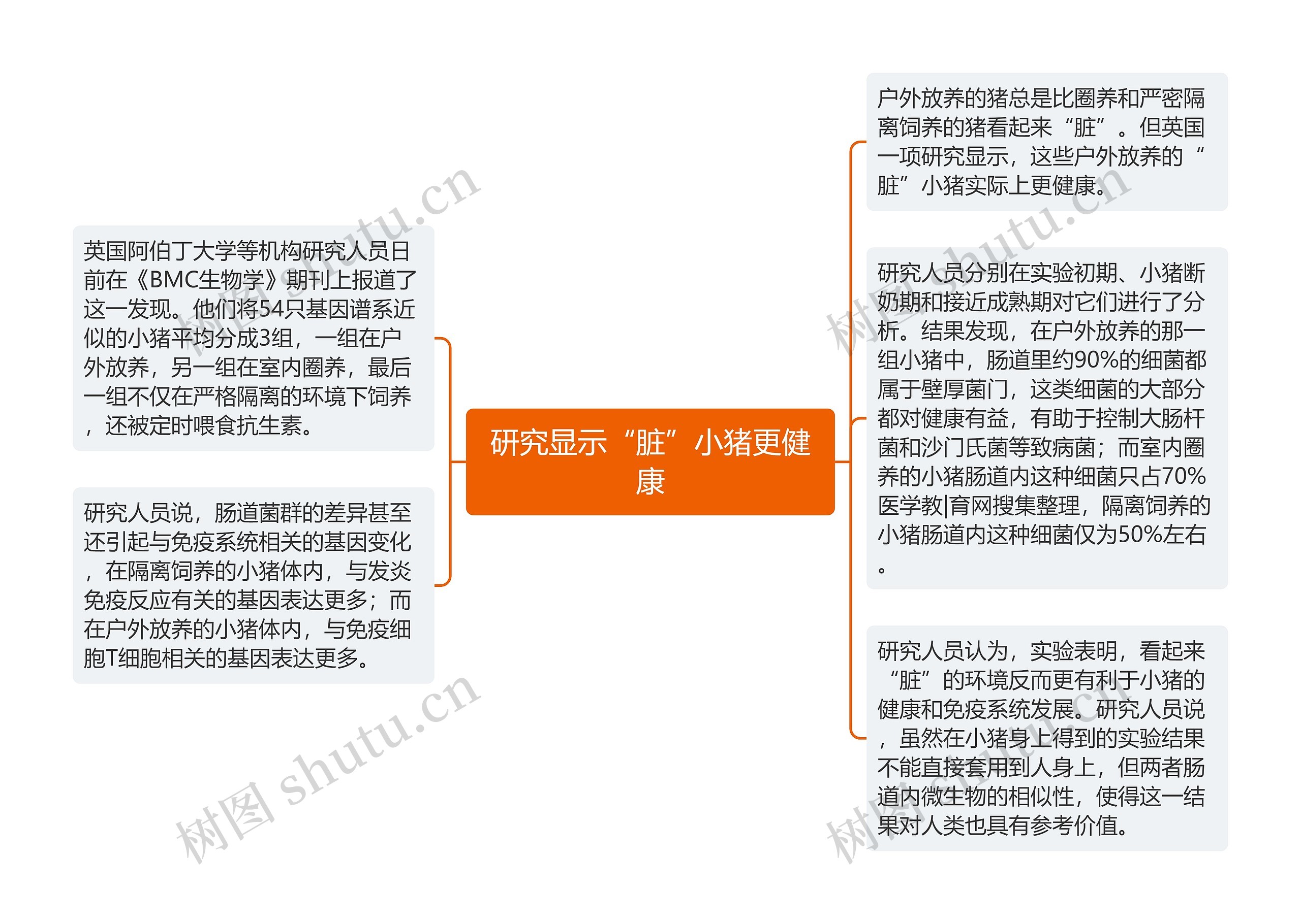 研究显示“脏”小猪更健康思维导图