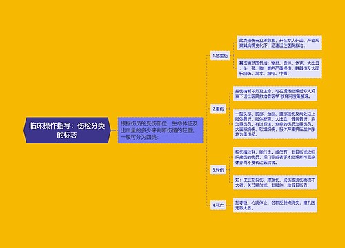 临床操作指导：伤检分类的标志