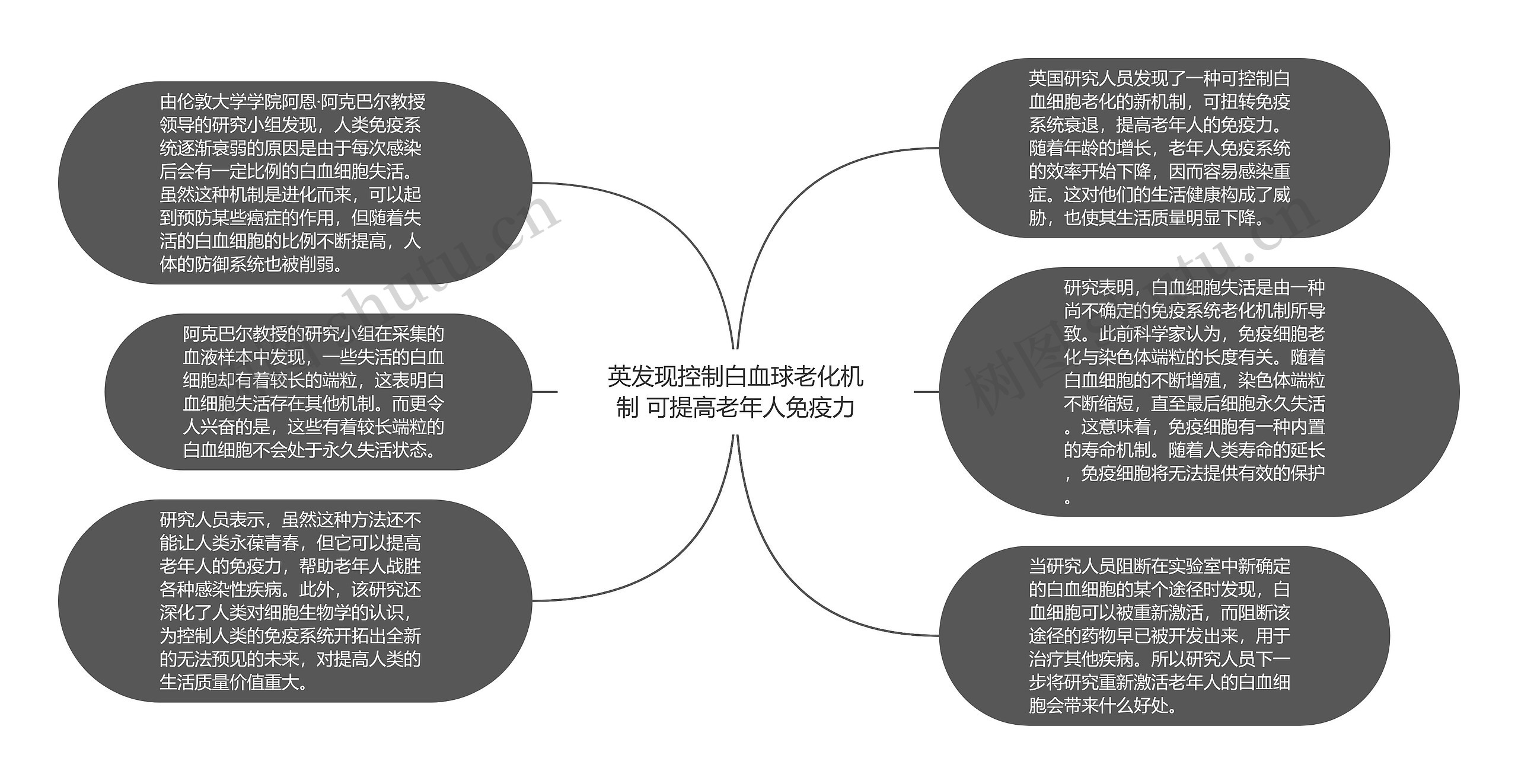 英发现控制白血球老化机制 可提高老年人免疫力