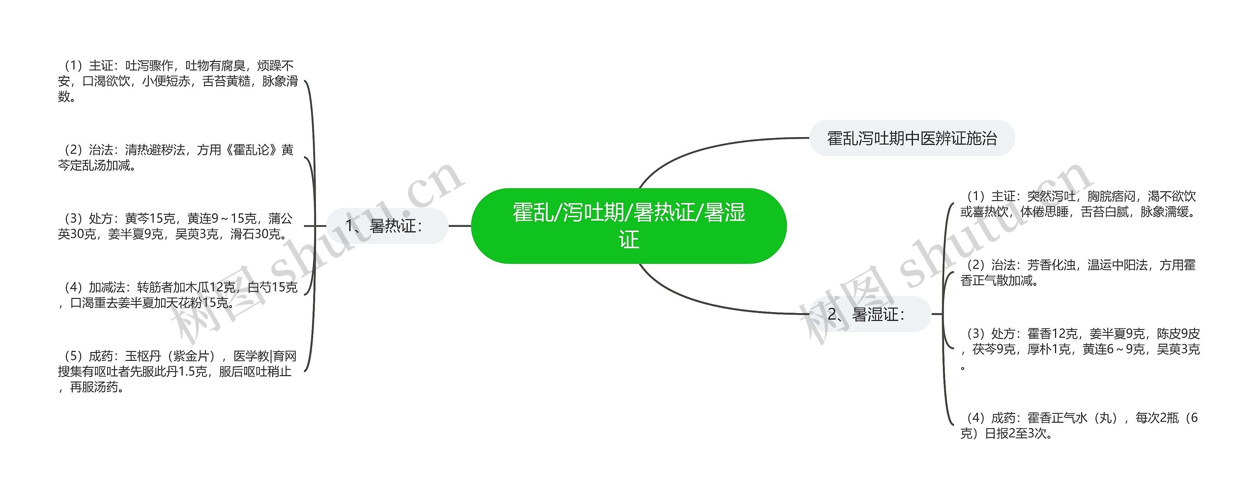 霍乱/泻吐期/暑热证/暑湿证 霍乱/泻吐期/暑热证/暑湿证