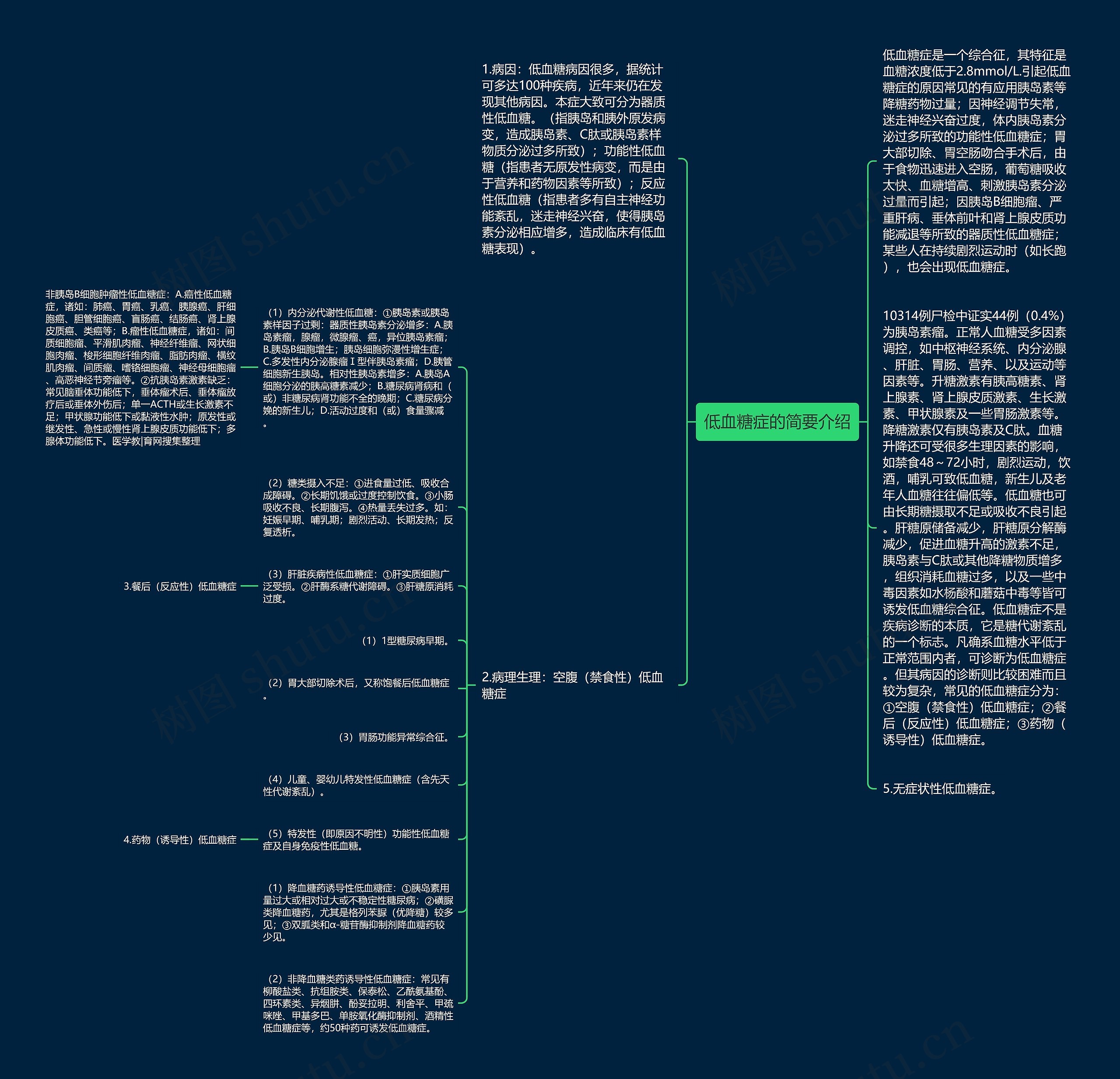 低血糖症的简要介绍思维导图