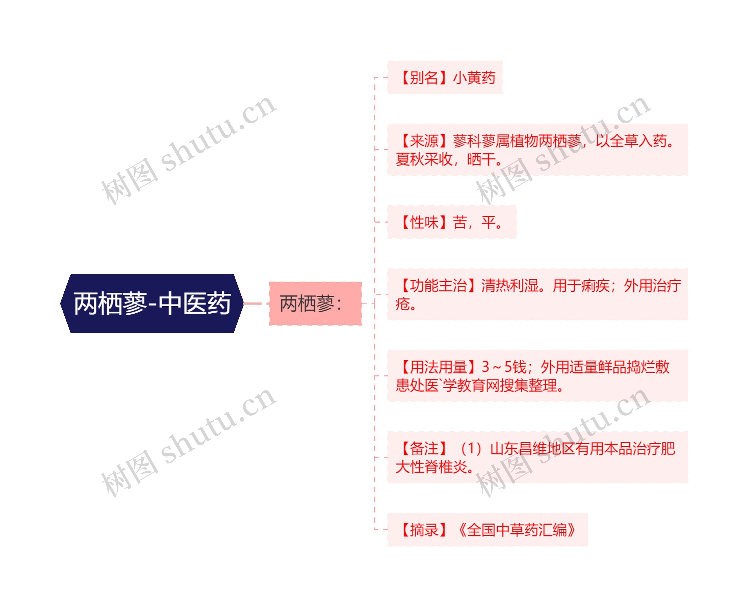 两栖蓼-中医药 两栖蓼-中医药