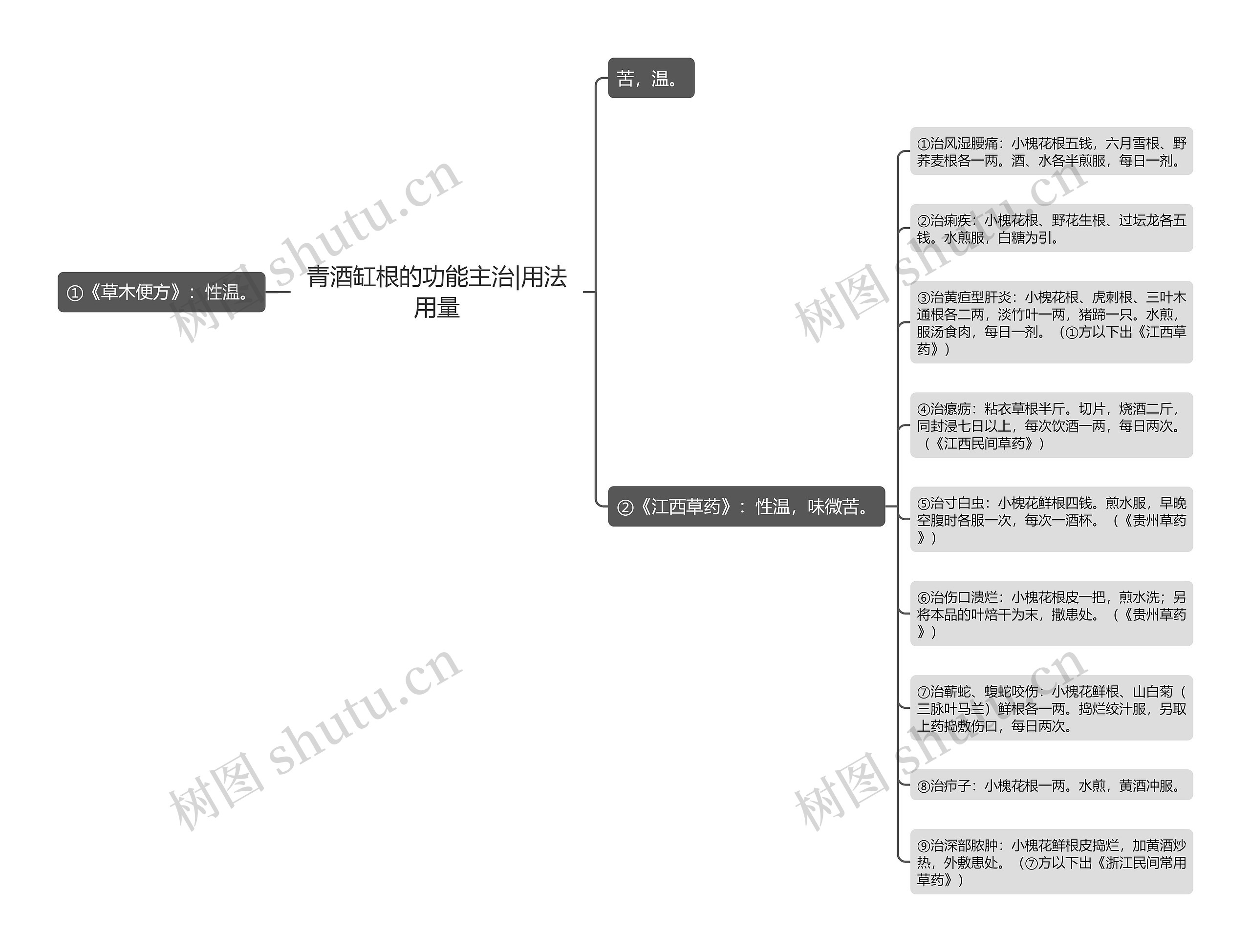 青酒缸根的功能主治|用法用量思维导图