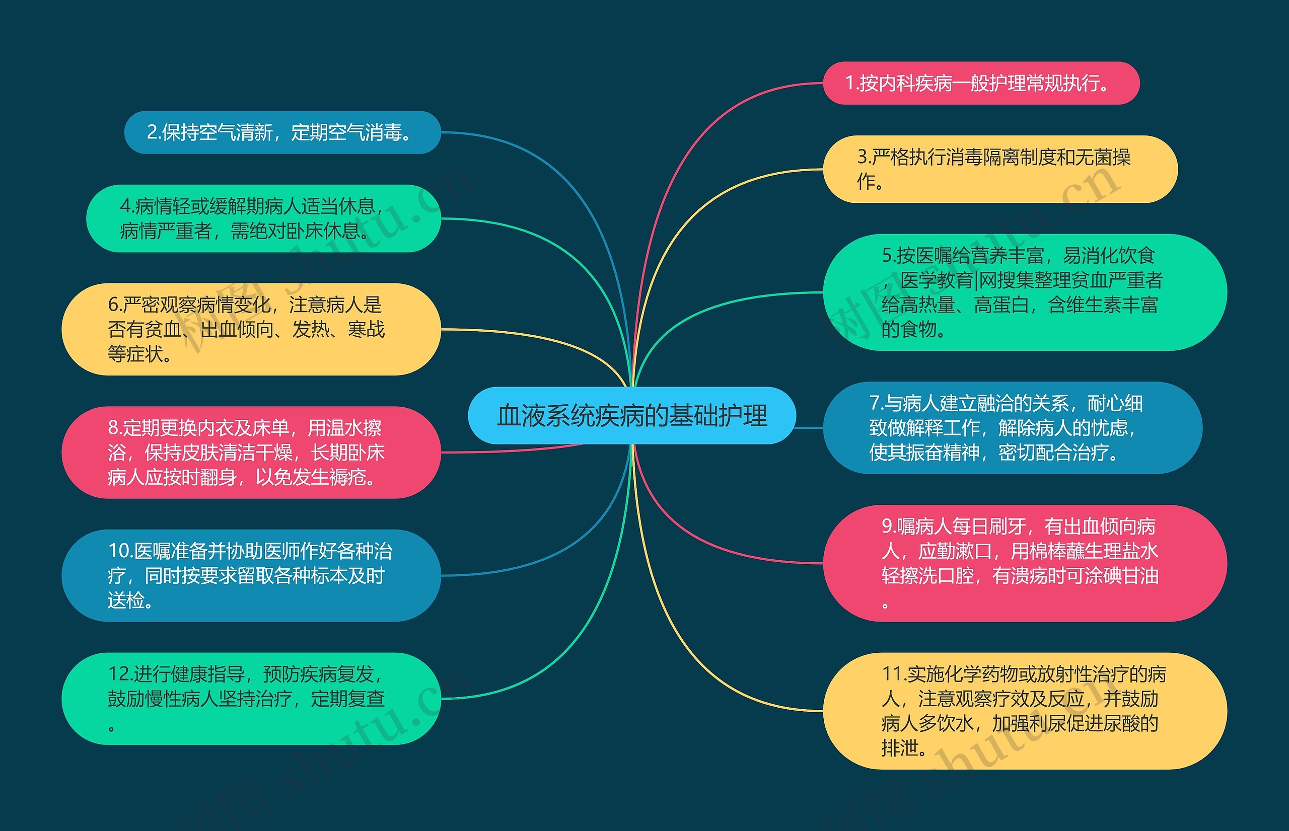 血液系统疾病的基础护理